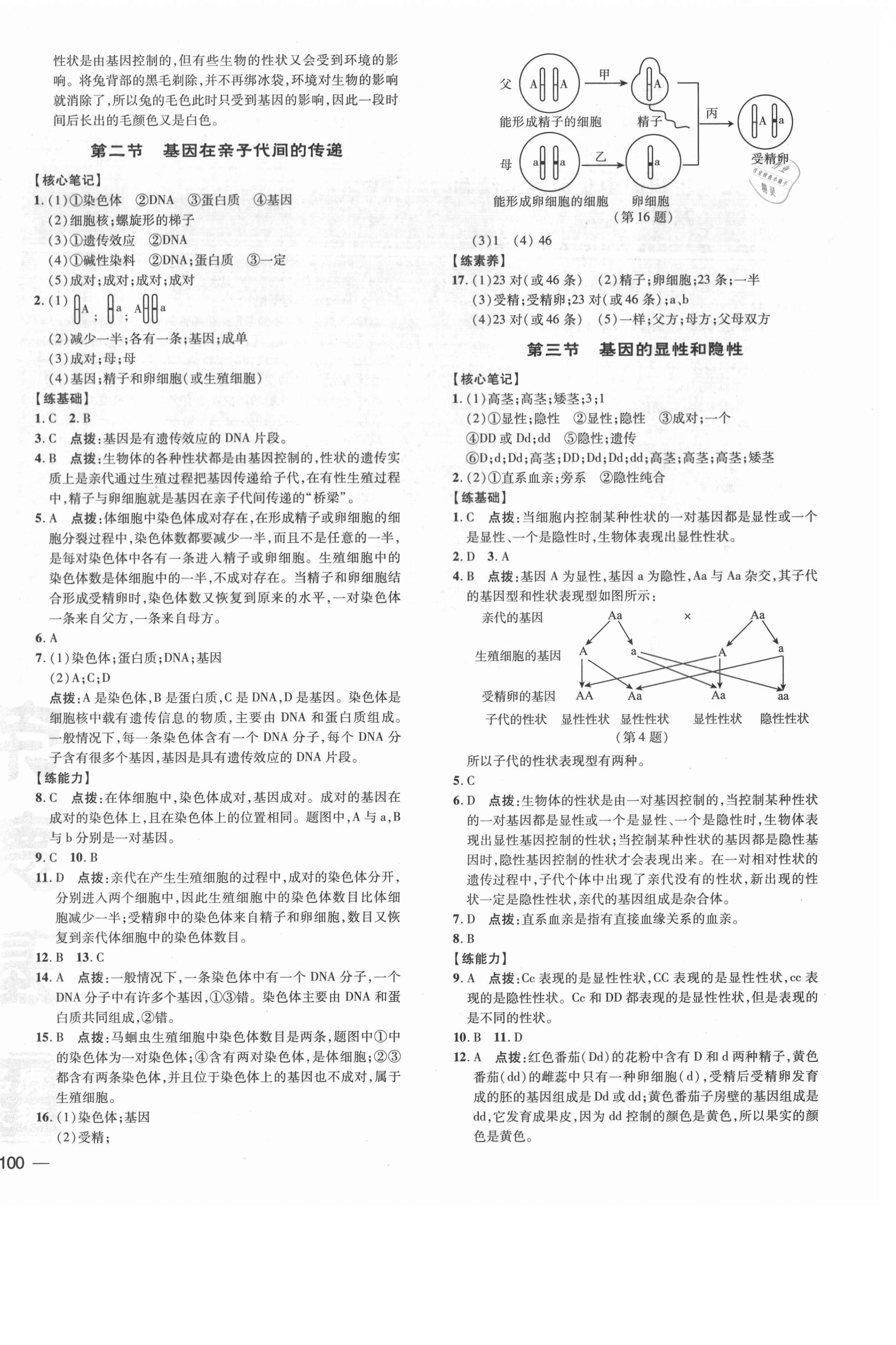 2021年點(diǎn)撥訓(xùn)練八年級(jí)生物下冊(cè)人教版 參考答案第4頁(yè)