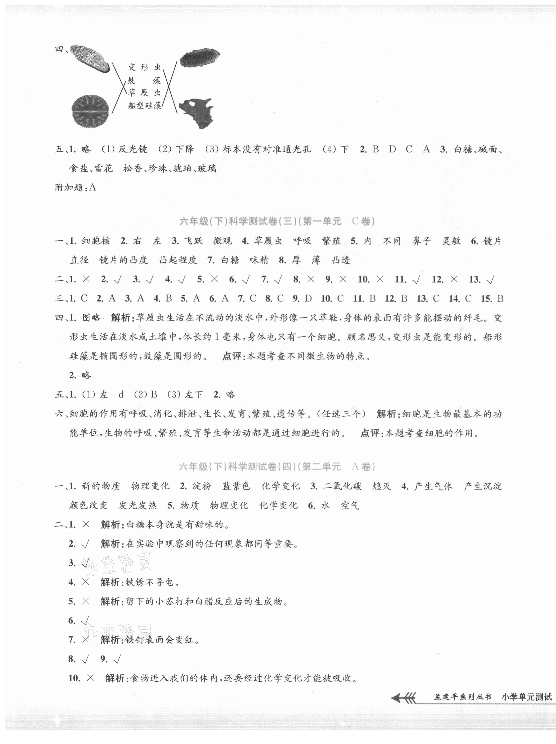 2021年孟建平單元測試六年級(jí)科學(xué)下冊教科版 第3頁