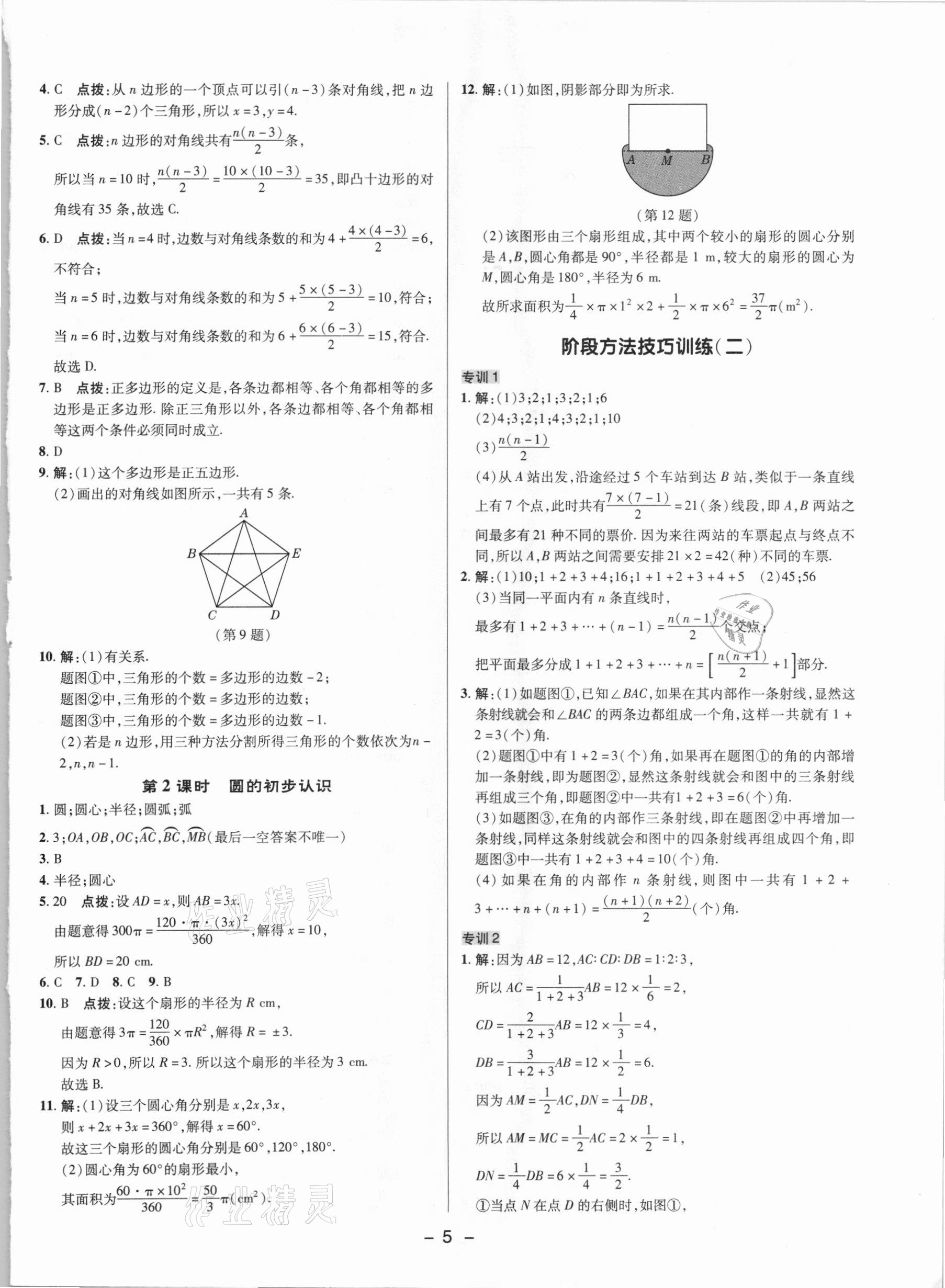 2021年綜合應(yīng)用創(chuàng)新題典中點六年級數(shù)學(xué)下冊魯教版54制 參考答案第4頁