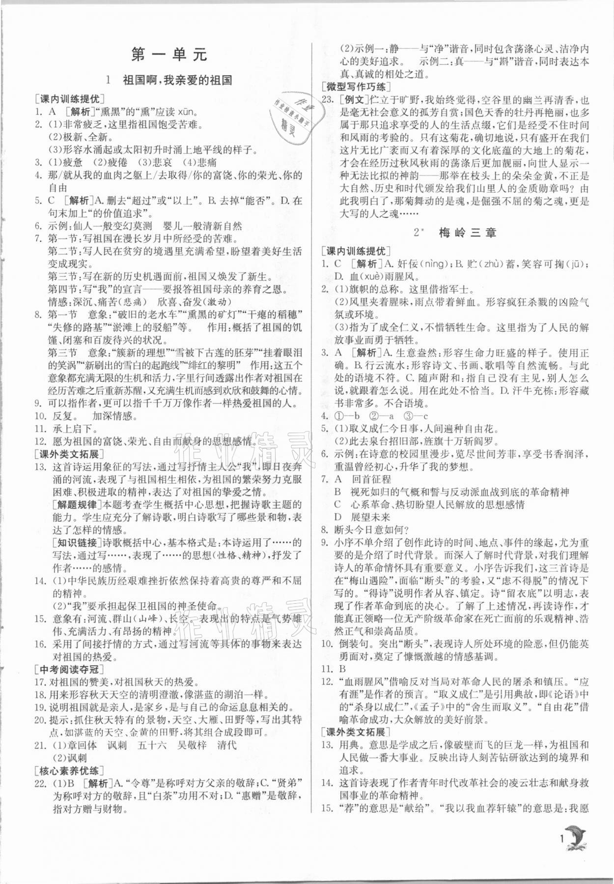 2021年實(shí)驗(yàn)班提優(yōu)訓(xùn)練九年級語文下冊人教版 參考答案第1頁