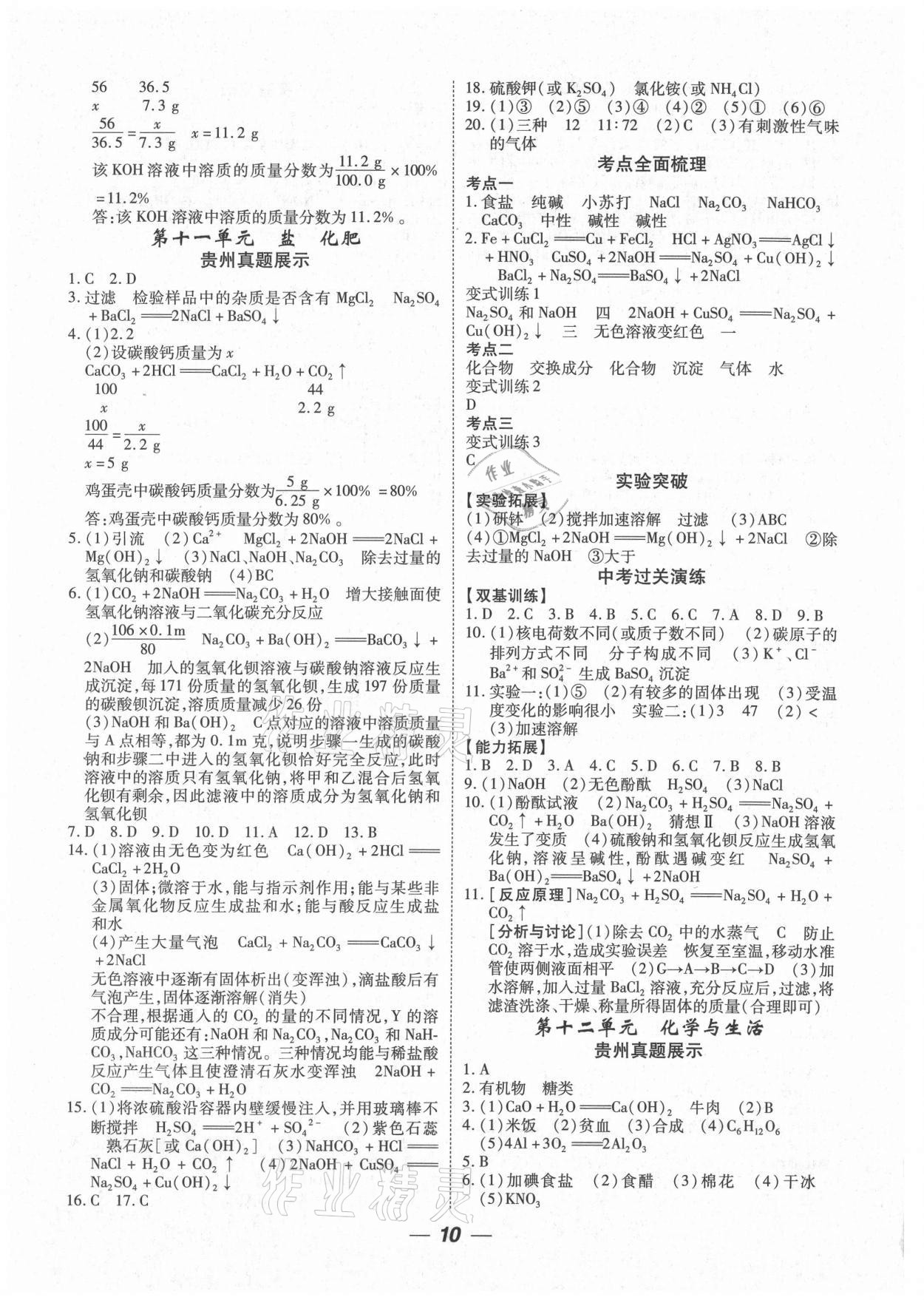 2021年貴州中考總復(fù)習(xí)終極備戰(zhàn)化學(xué)貴陽專版 第10頁