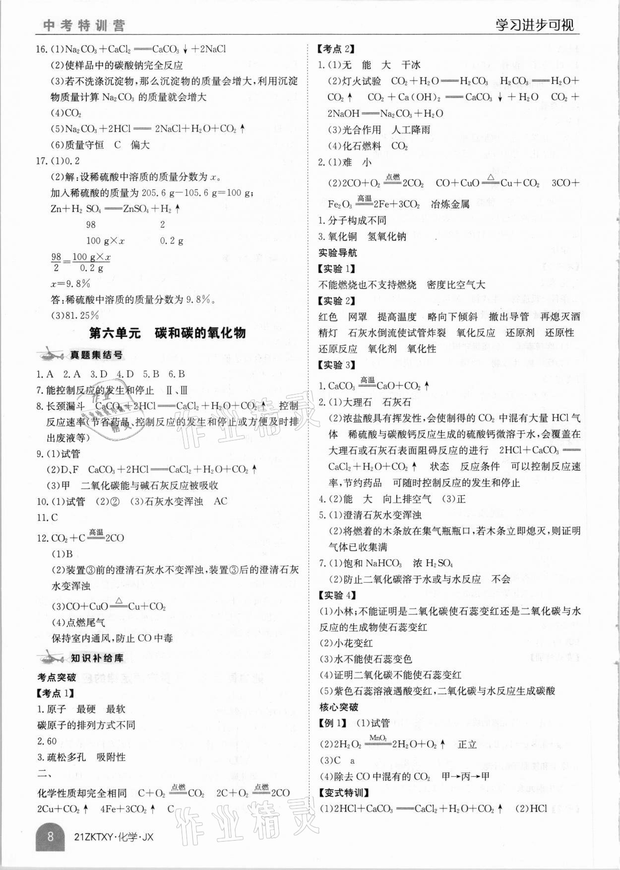 2021年中考特訓(xùn)營化學(xué)江西專版 參考答案第8頁