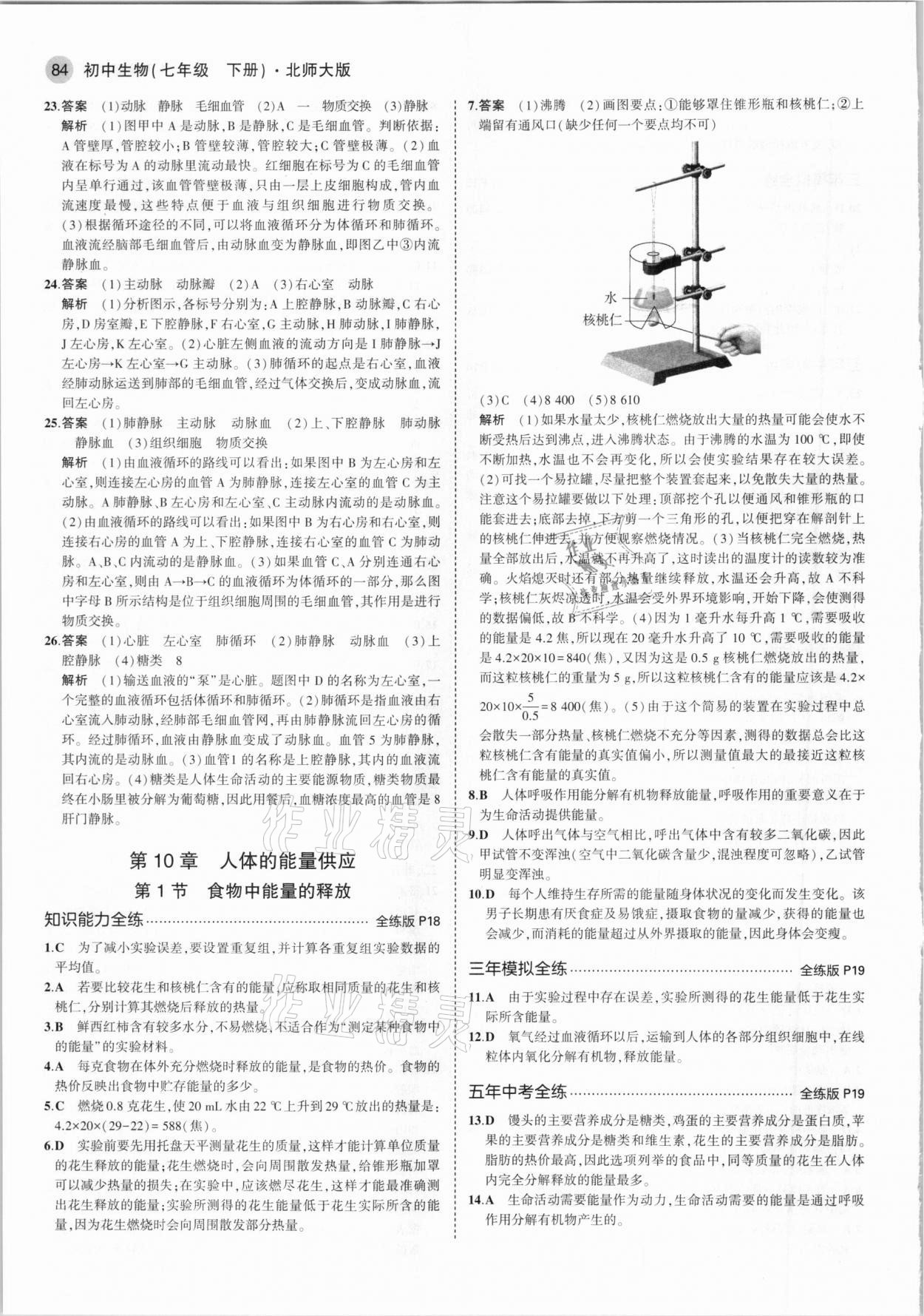 2021年5年中考3年模拟初中生物七年级下册北师大版 第6页