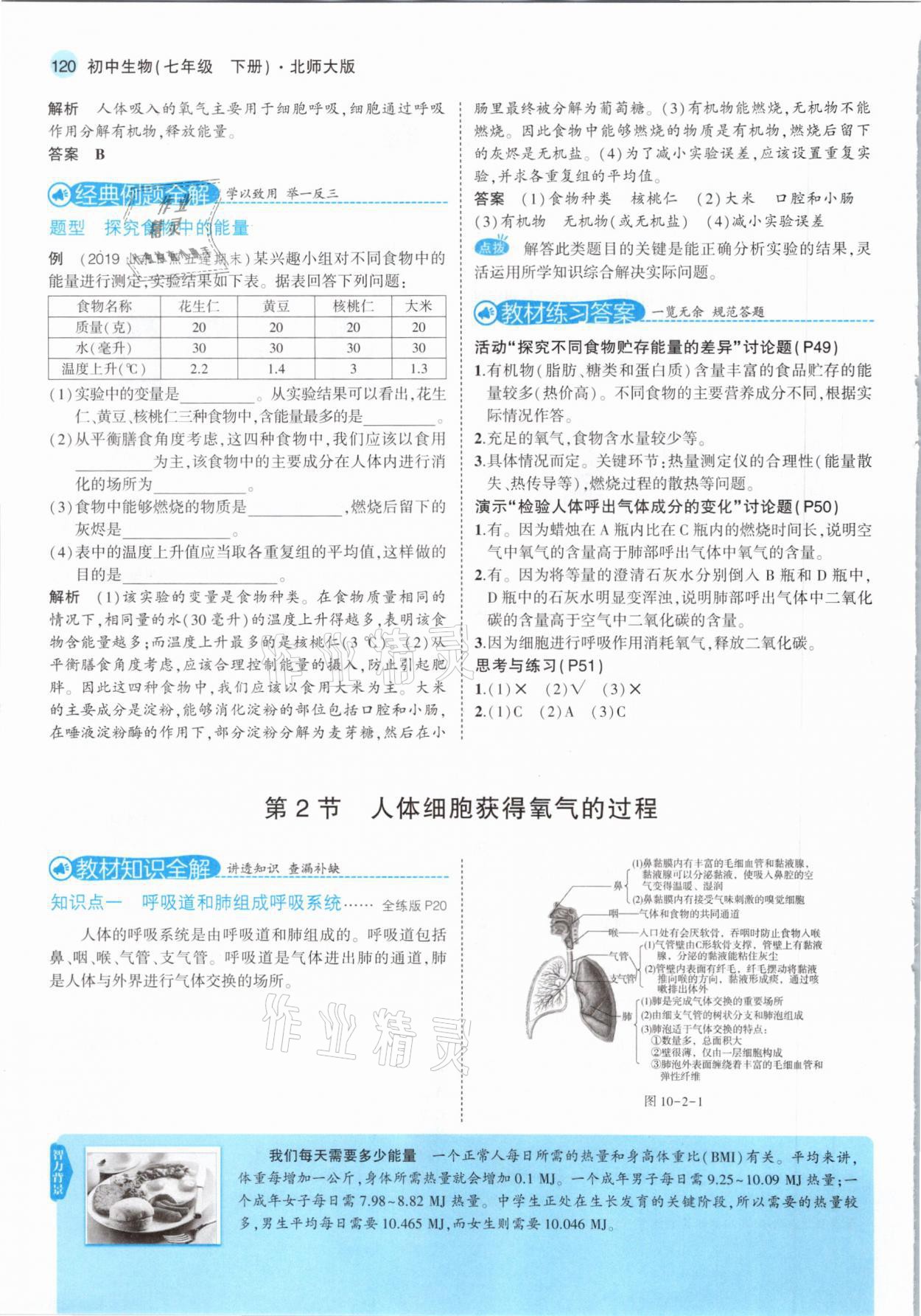 2021年教材課本七年級生物下冊北師大版 參考答案第2頁