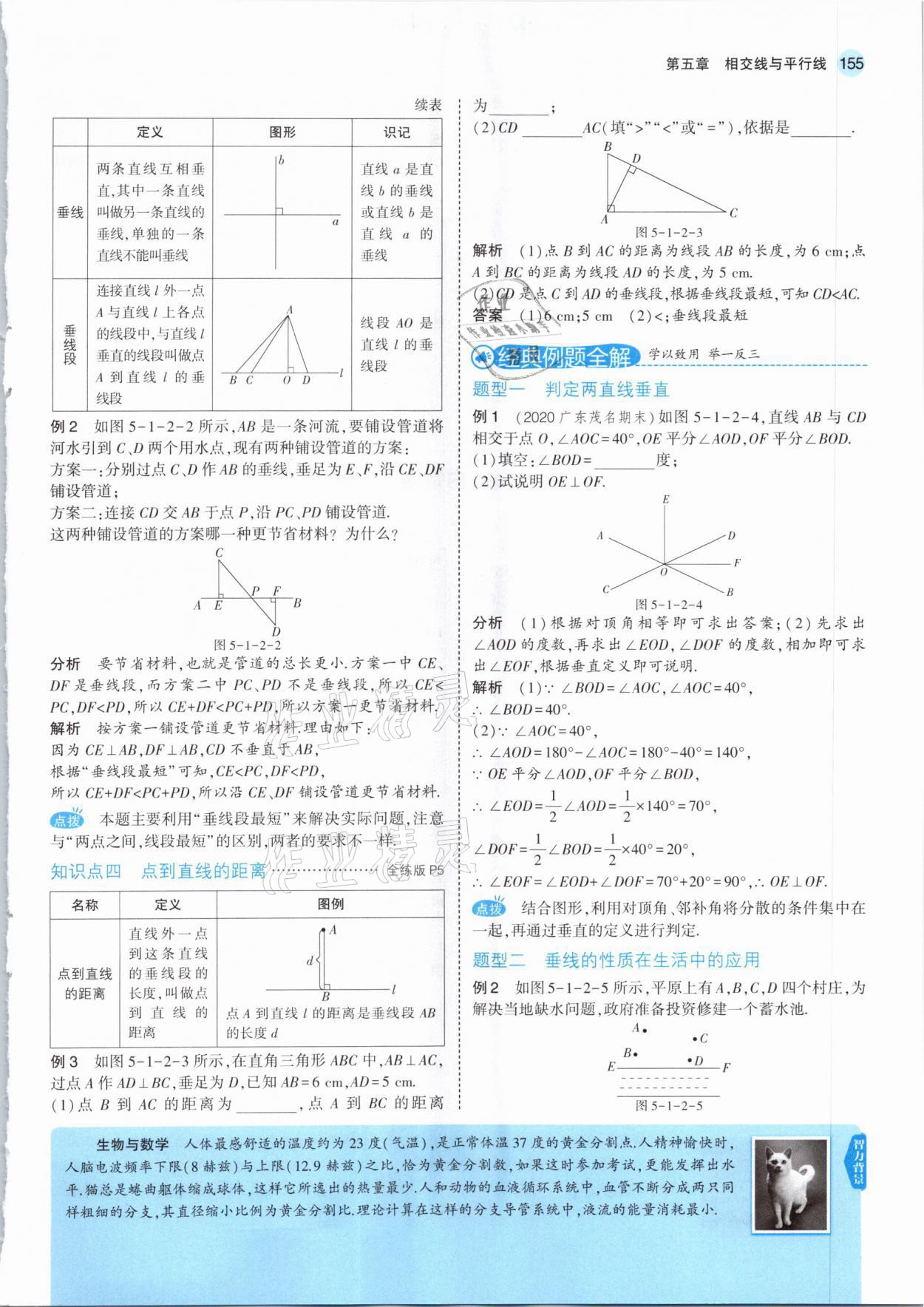 2021年教材课本七年级数学下册人教版 参考答案第5页