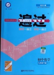 2021年一遍過(guò)初中化學(xué)九年級(jí)下冊(cè)科粵版