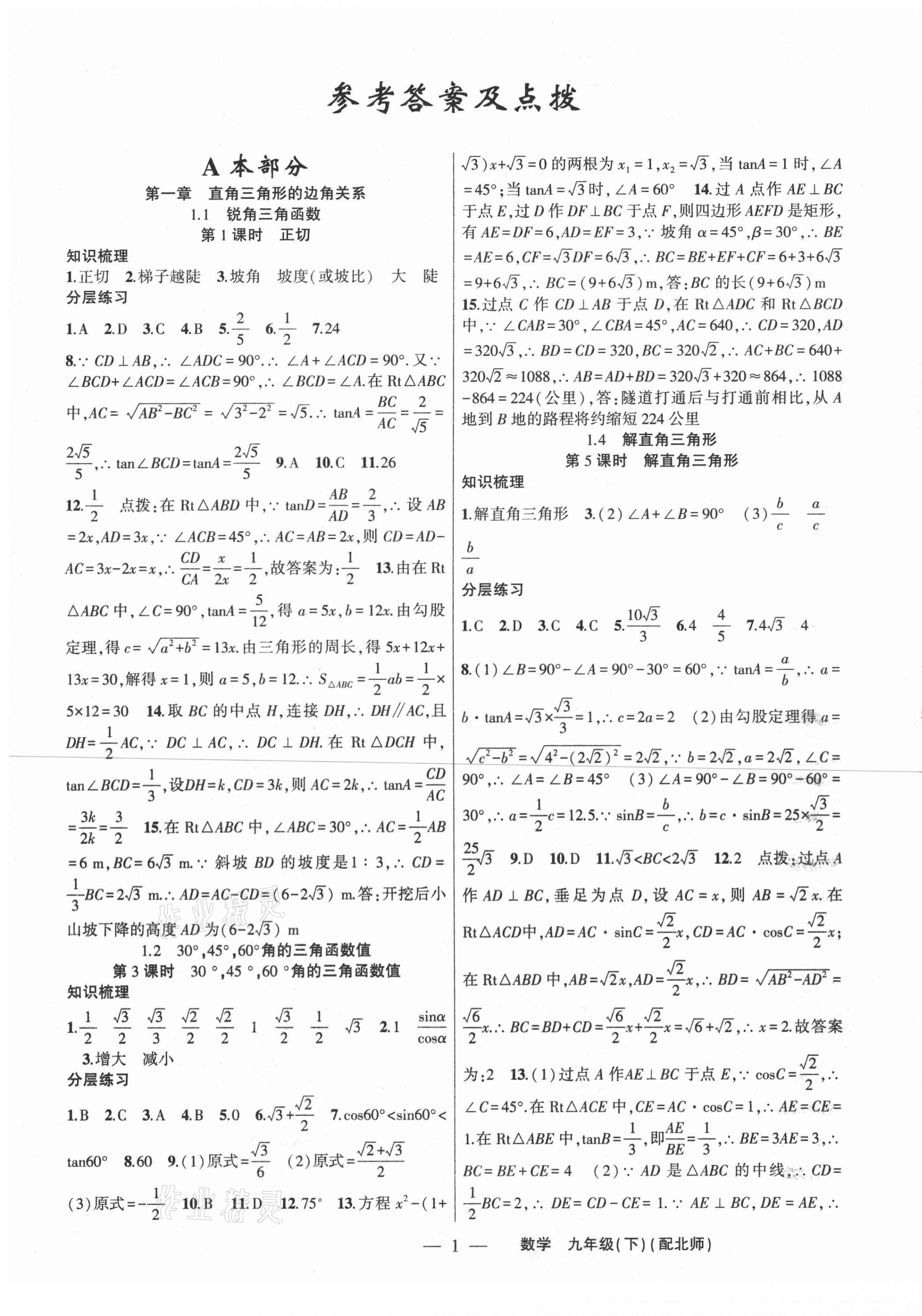 2021年原创新课堂九年级数学下册北师大版深圳专版 第1页