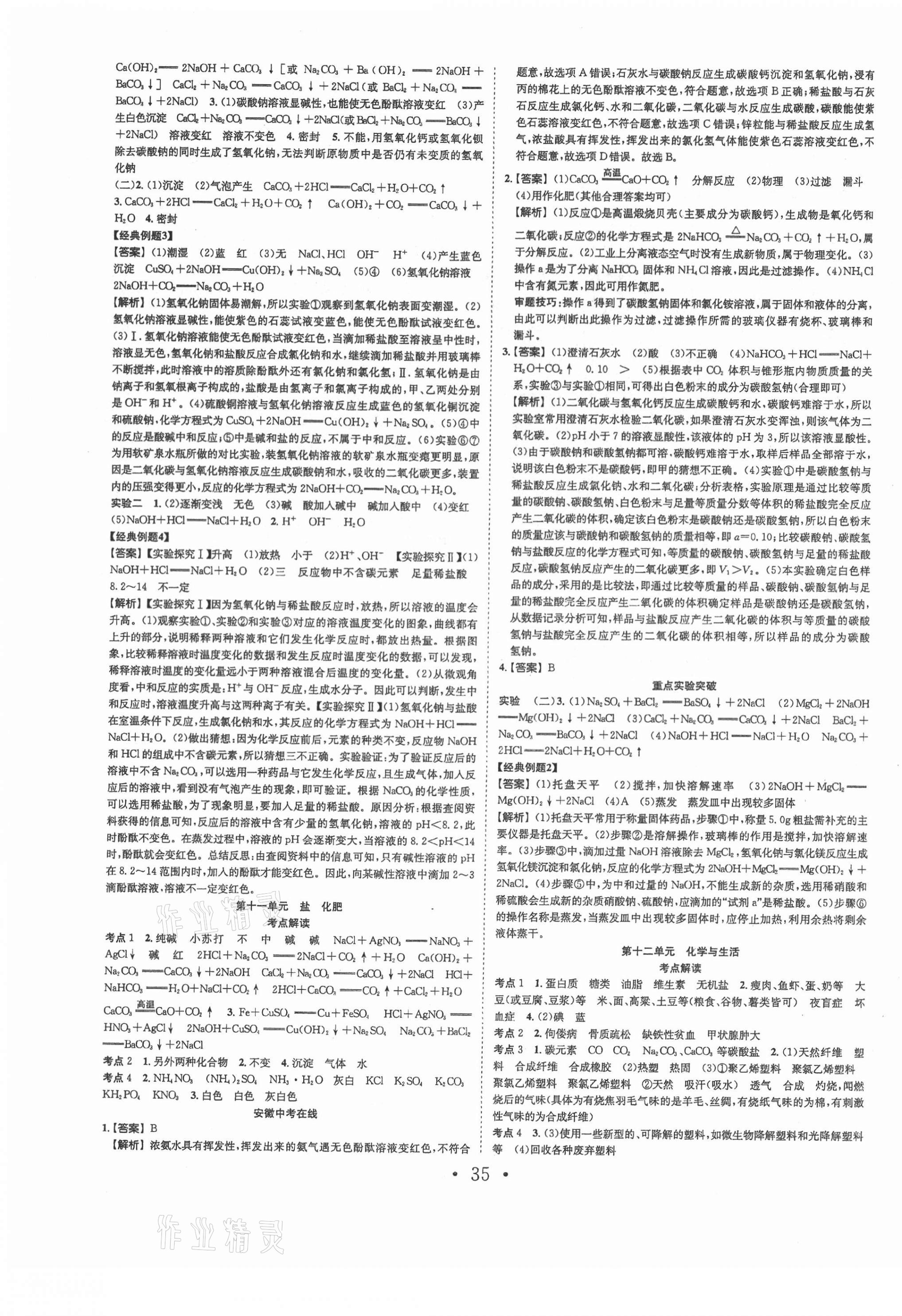 2021年贏在中考搶分王化學(xué)安徽專版 第11頁