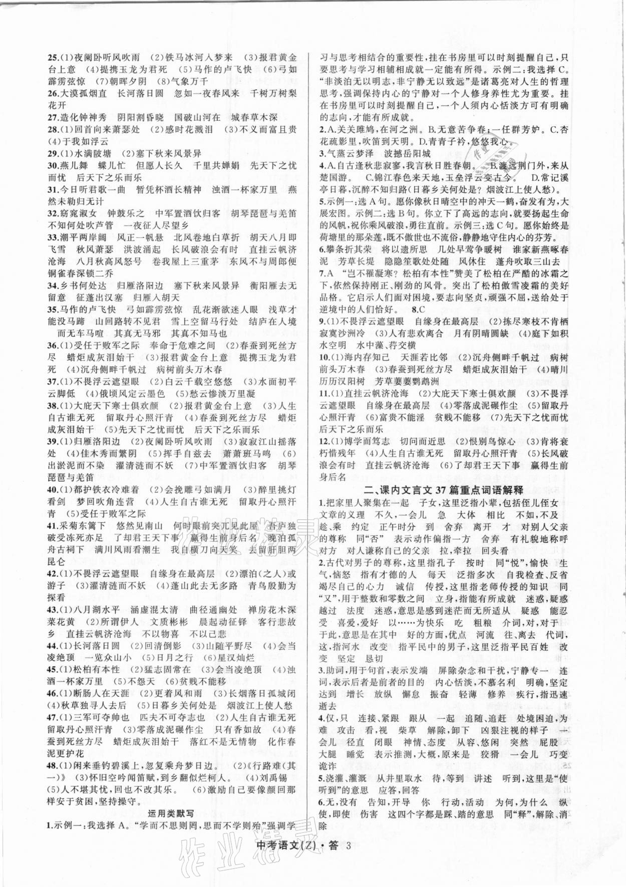 2021年名師面對(duì)面中考滿分特訓(xùn)方案語(yǔ)文浙江專版 參考答案第3頁(yè)