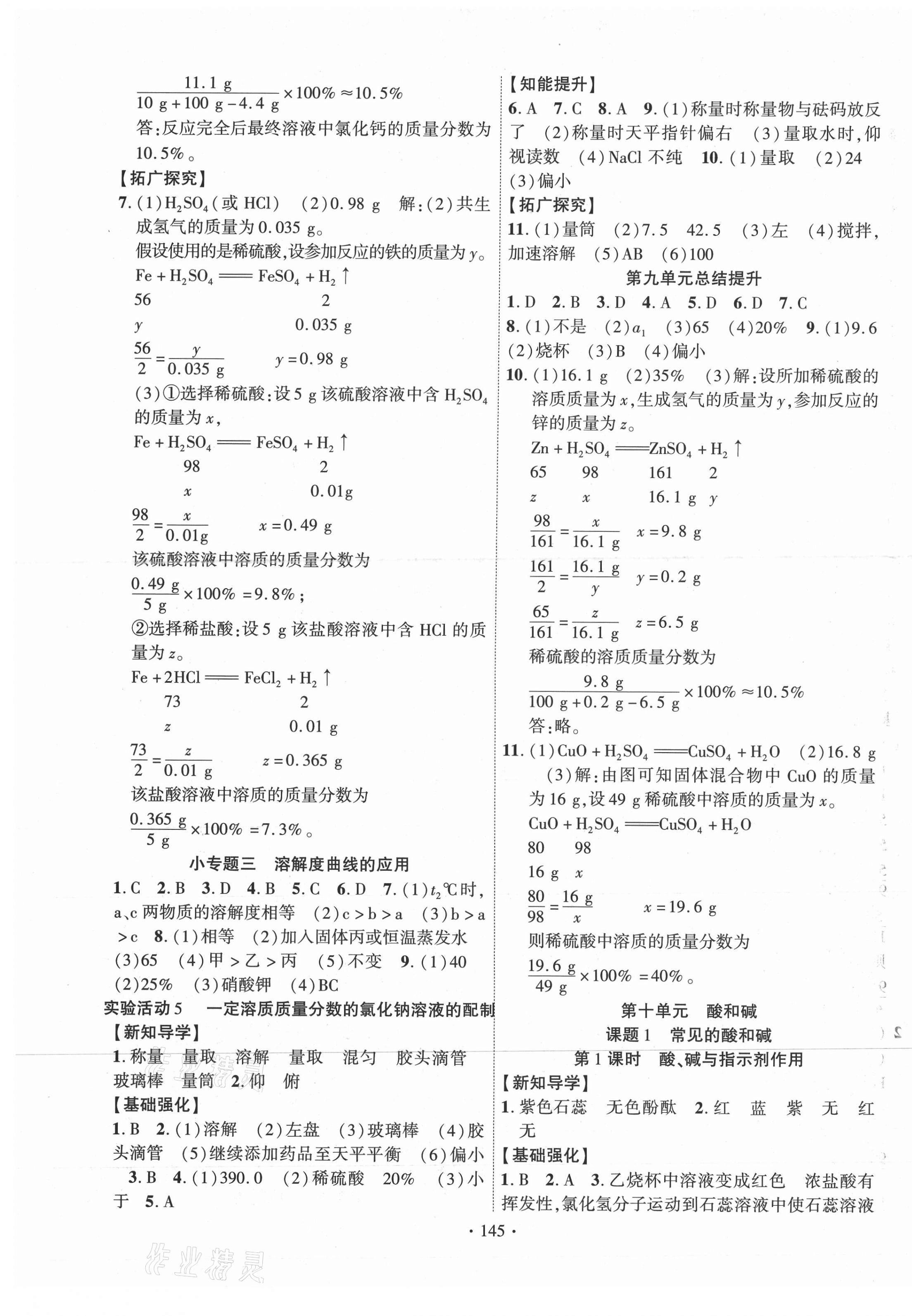 2021年暢優(yōu)新課堂九年級化學(xué)下冊人教版 第5頁