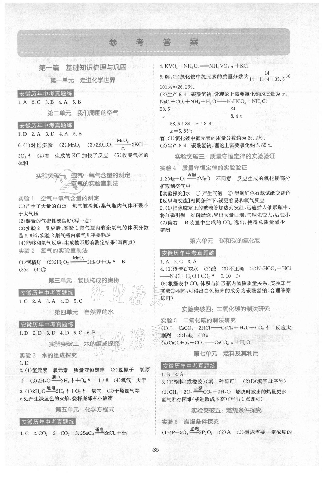 2021年初中毕业班系统总复习化学 参考答案第1页