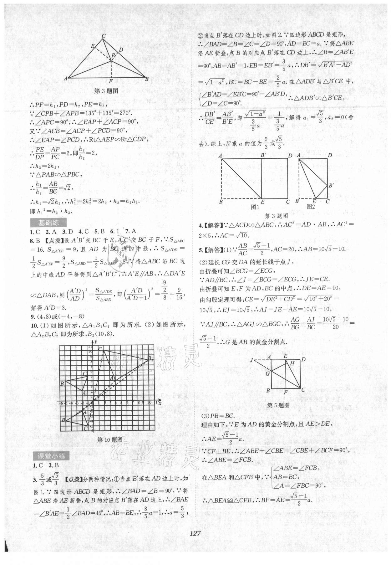 2021年初中毕业班系统总复习数学 参考答案第13页