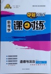 2021年奪冠百分百新導(dǎo)學(xué)課時練九年級道德與法治下冊人教版