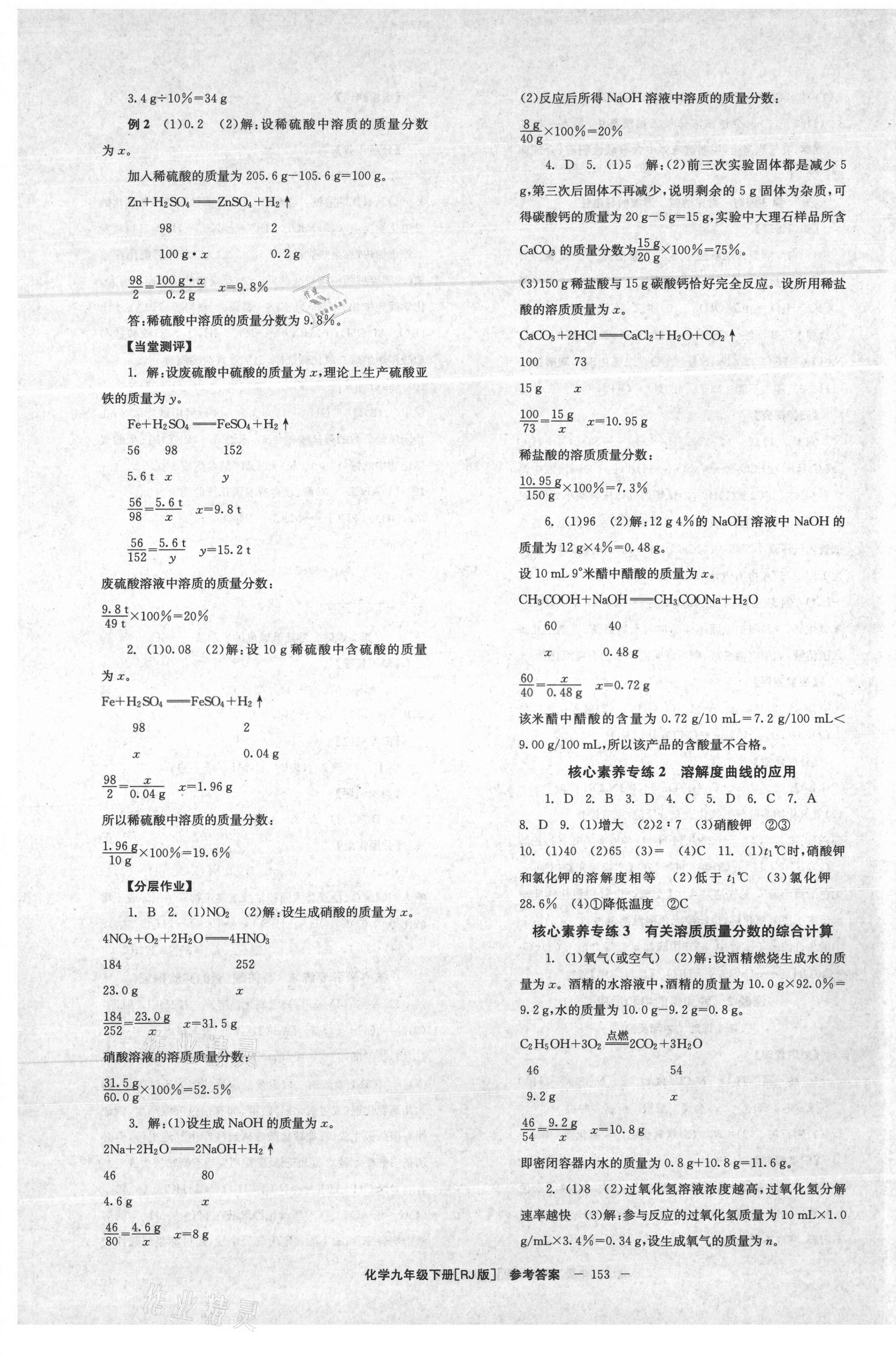 2021年全效學(xué)習(xí)學(xué)業(yè)評(píng)價(jià)方案九年級(jí)化學(xué)下冊(cè)人教版 第5頁