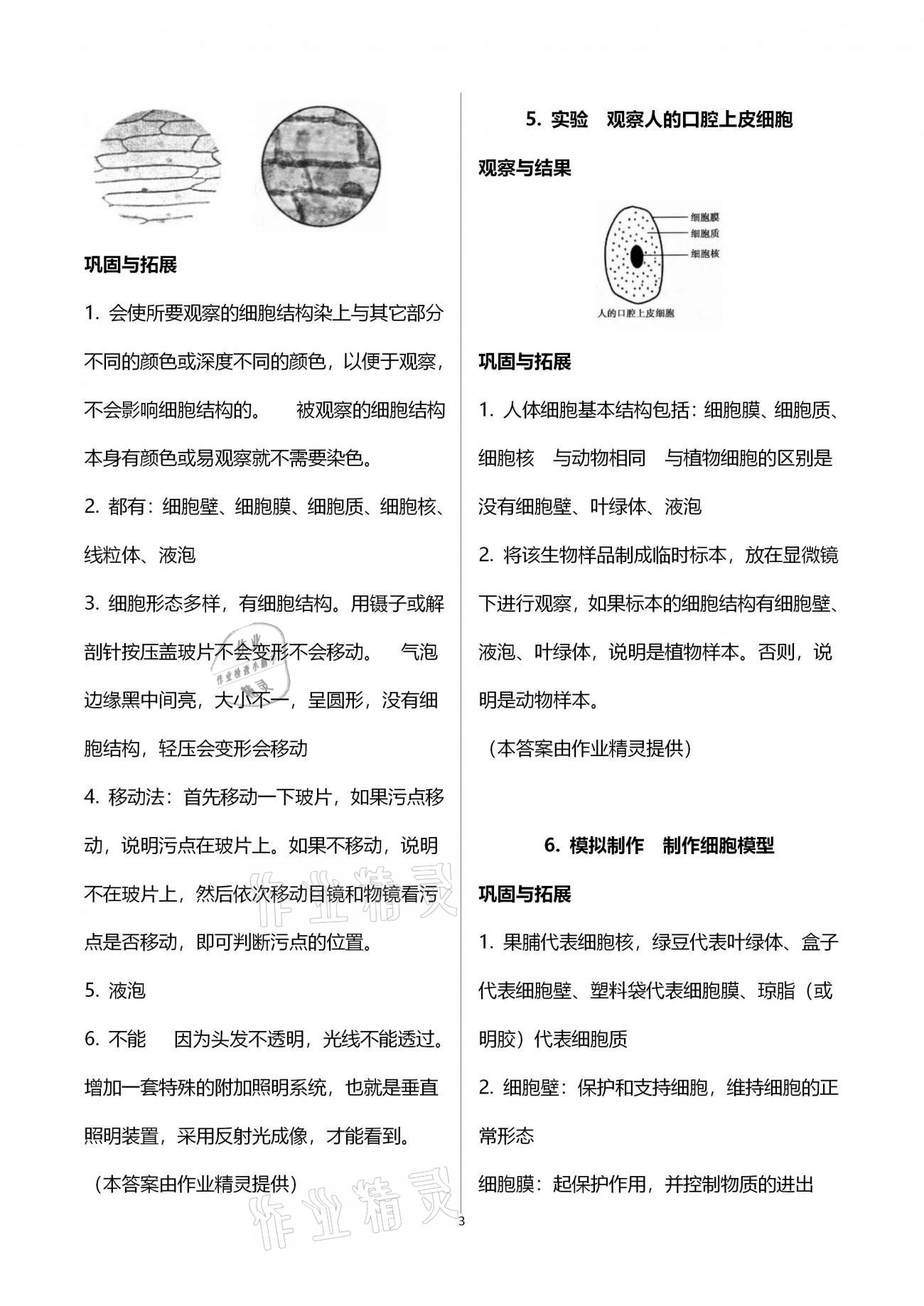 2020年長江全能學(xué)案實(shí)驗(yàn)報(bào)告七年級生物學(xué)上冊人教版 第3頁