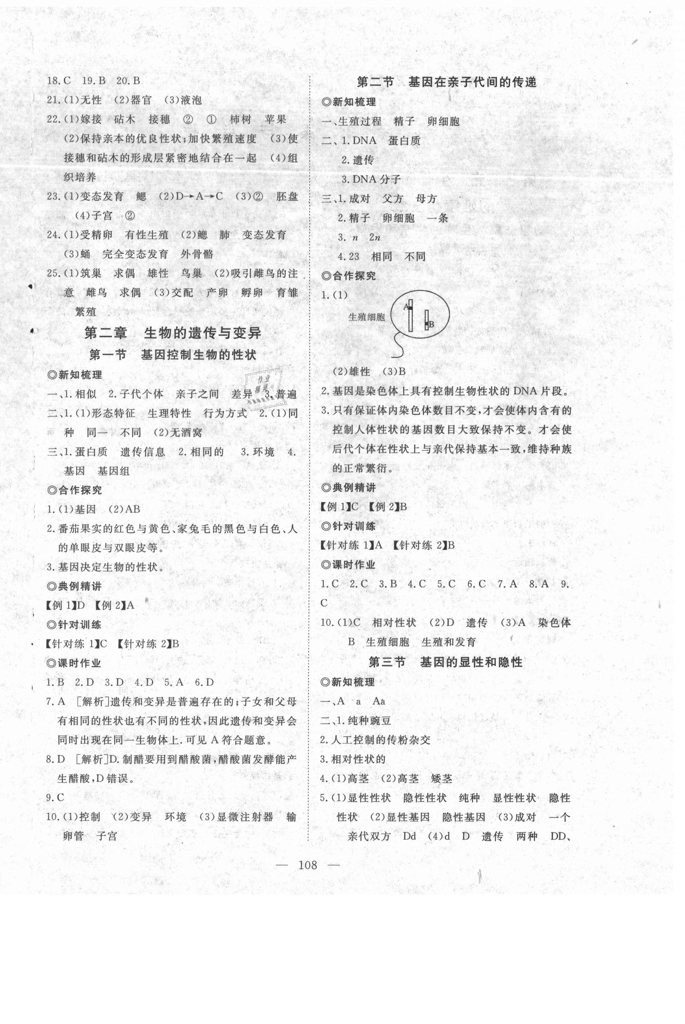 2021年351高效課堂導學案八年級生物下冊人教版 第4頁