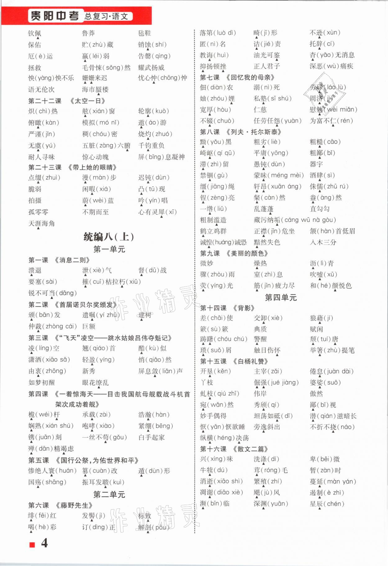 2021年貴州中考總復習終極備戰(zhàn)語文六盤水專版 第4頁