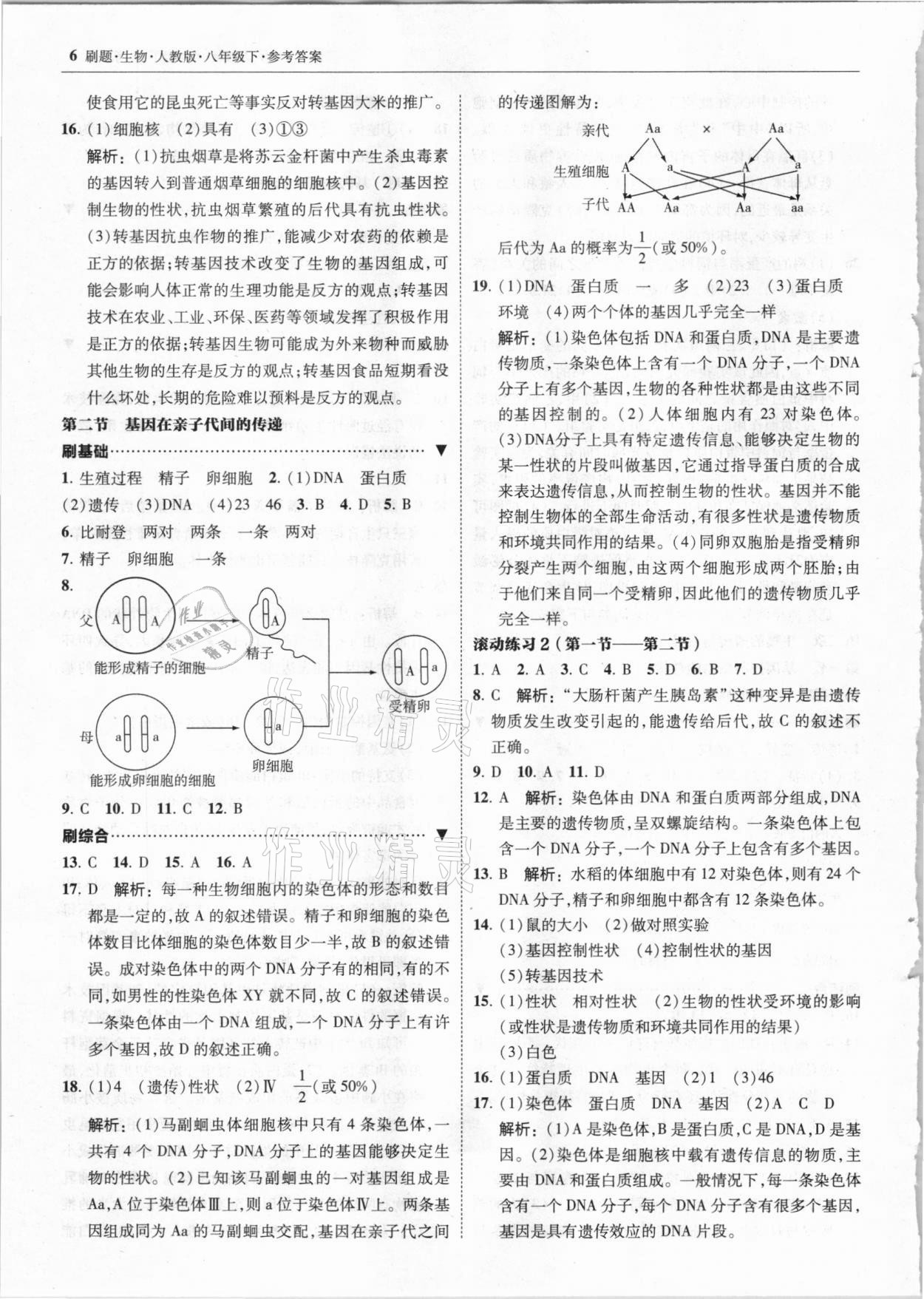 2021年北大綠卡刷題八年級生物下冊人教版 參考答案第6頁