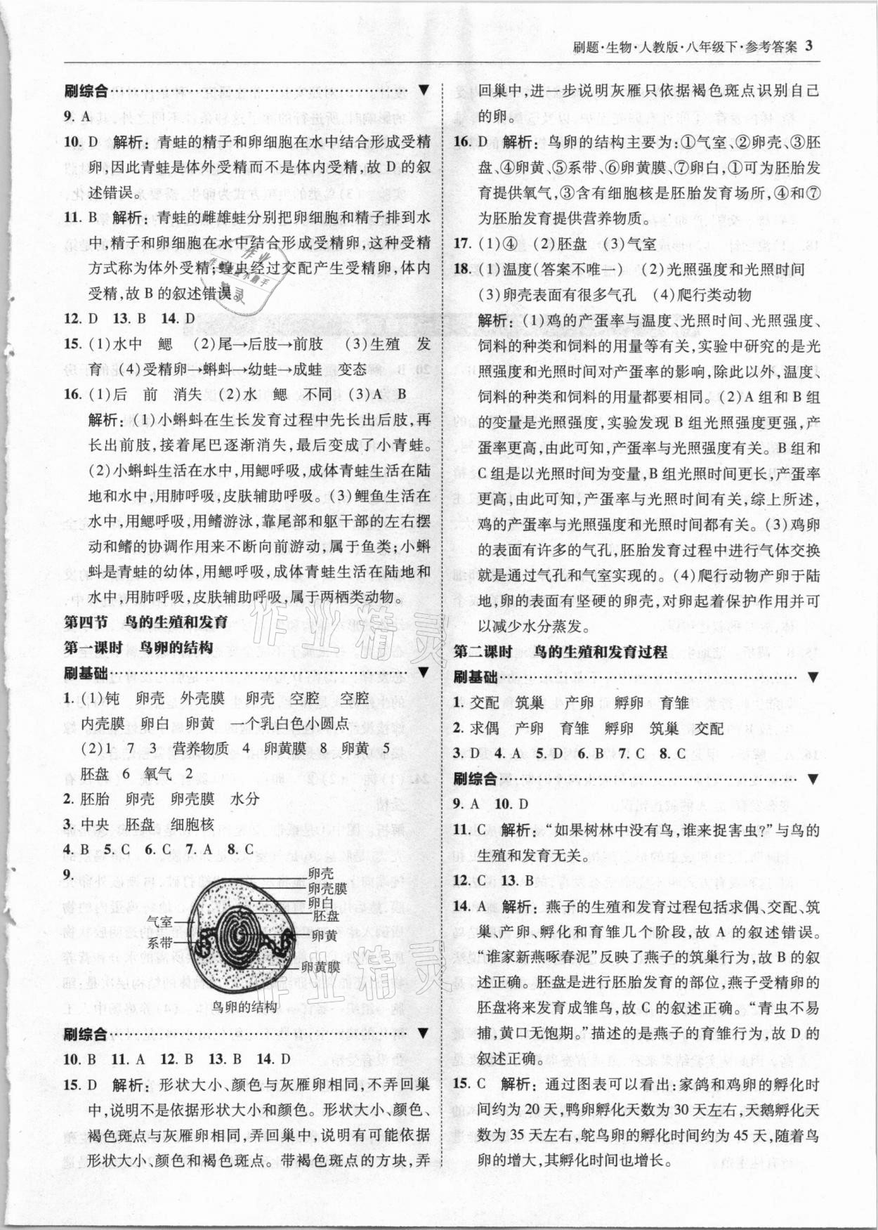 2021年北大綠卡刷題八年級生物下冊人教版 參考答案第3頁