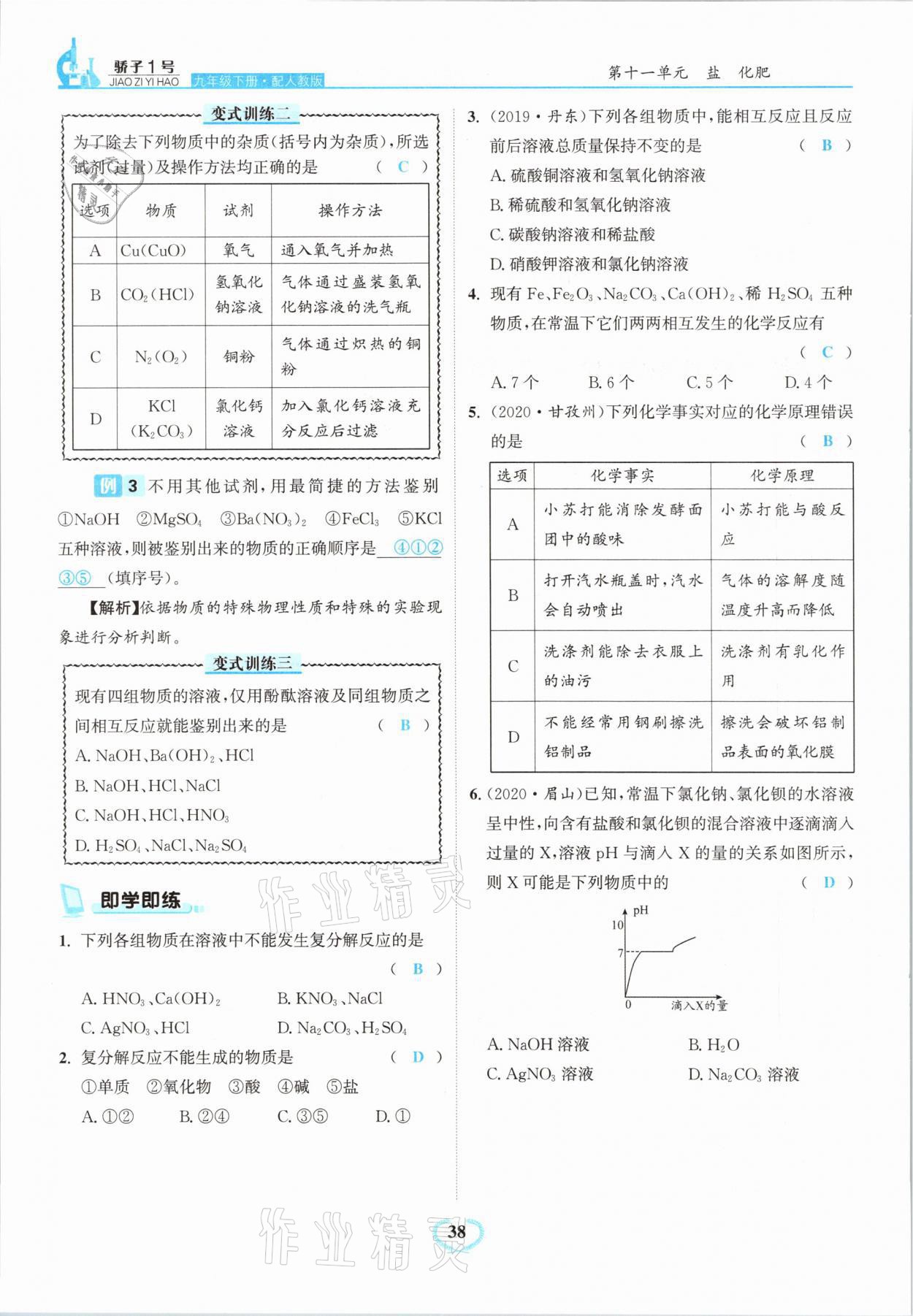 2021年驕子1號九年級化學下冊人教版 第38頁