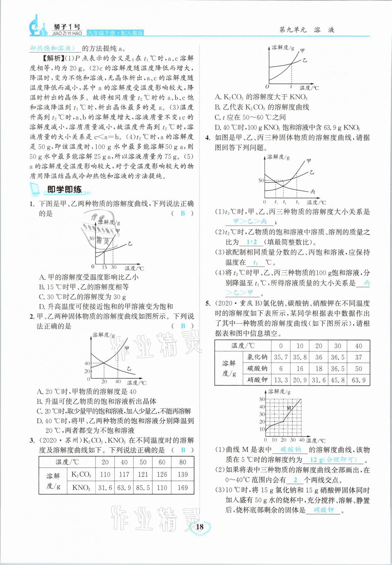 2021年驕子1號九年級化學下冊人教版 第18頁