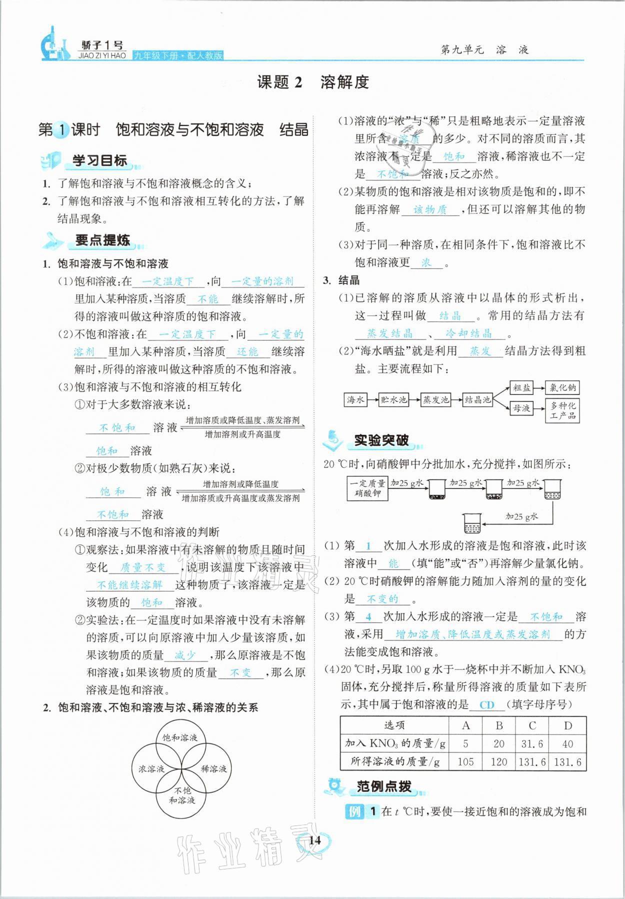 2021年驕子1號(hào)九年級(jí)化學(xué)下冊(cè)人教版 第14頁