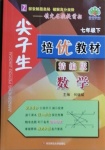 2021年尖子生培優(yōu)教材七年級數(shù)學下冊浙教版精編版