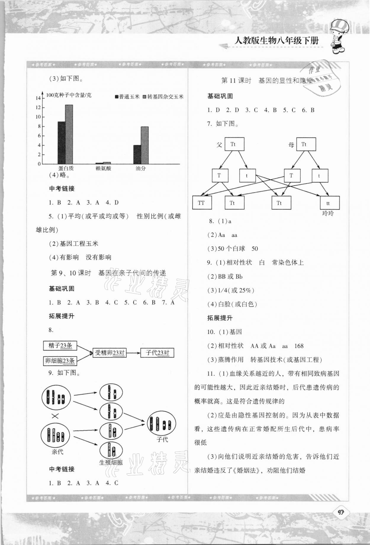 2021年同步實(shí)踐評價課程基礎(chǔ)訓(xùn)練八年級生物下冊人教版 第3頁