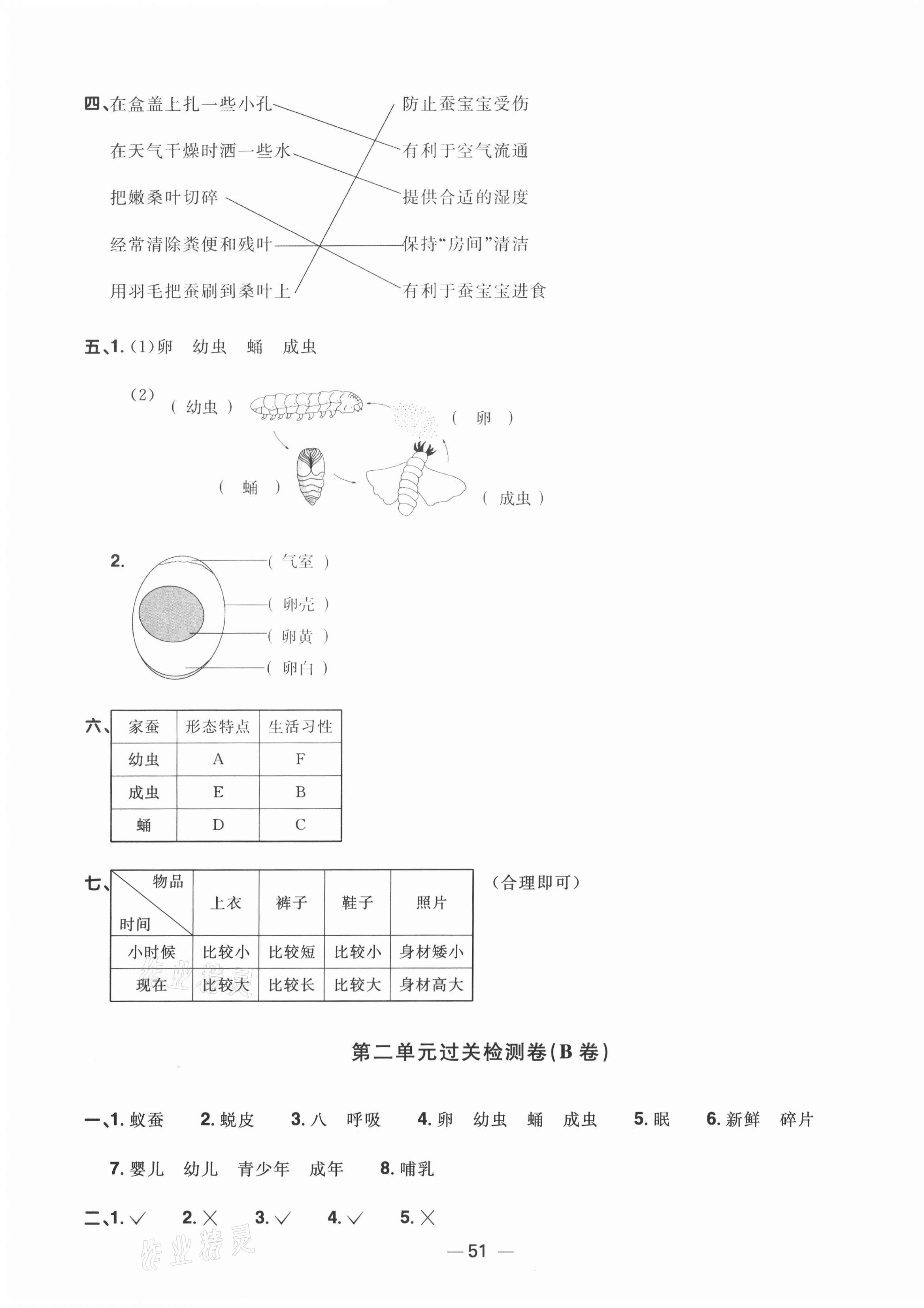 2021年陽(yáng)光同學(xué)一線名師全優(yōu)好卷三年級(jí)科學(xué)下冊(cè)教科版 第3頁(yè)