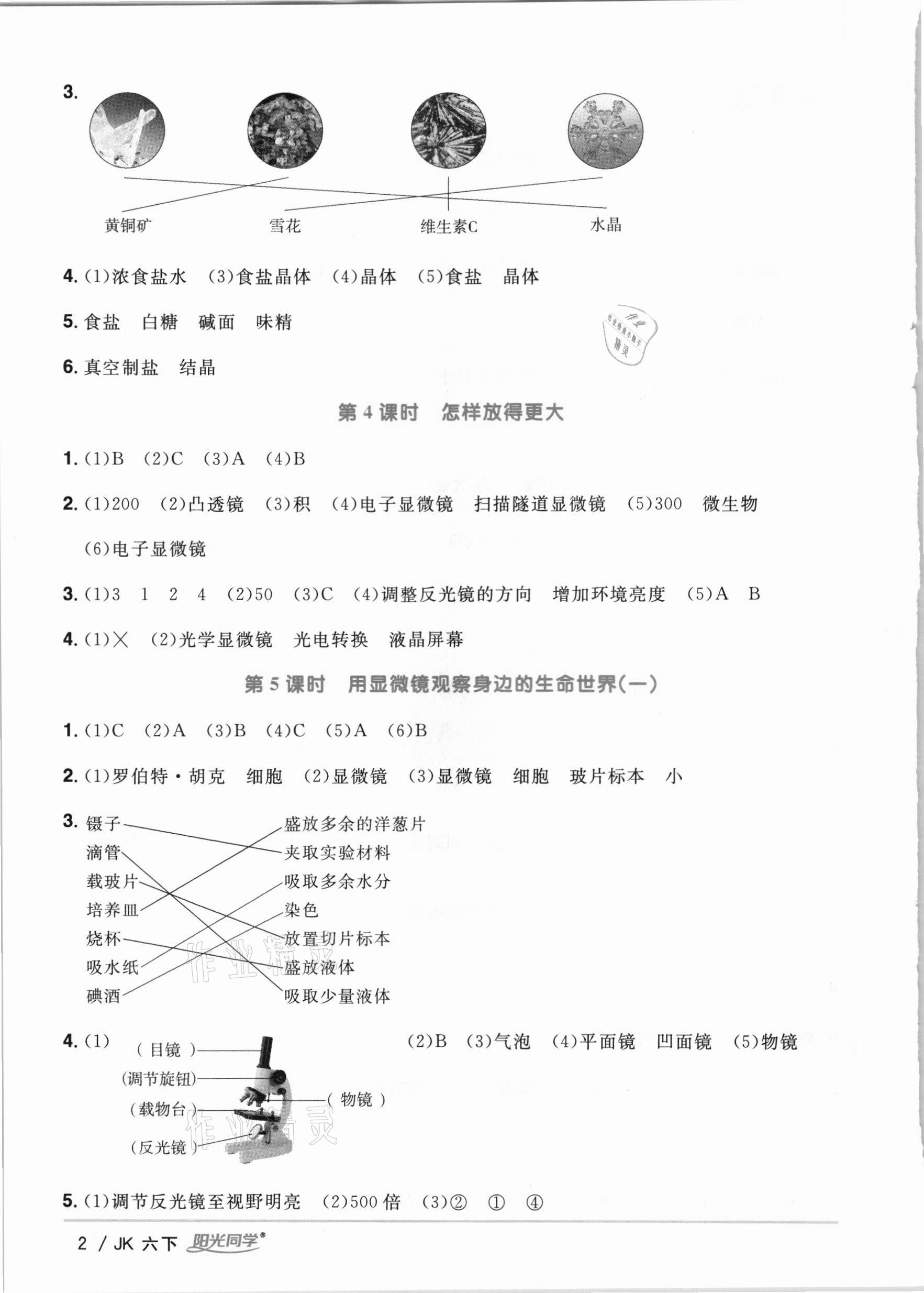 2021年陽光同學(xué)課時(shí)優(yōu)化作業(yè)六年級科學(xué)下冊教科版 參考答案第2頁