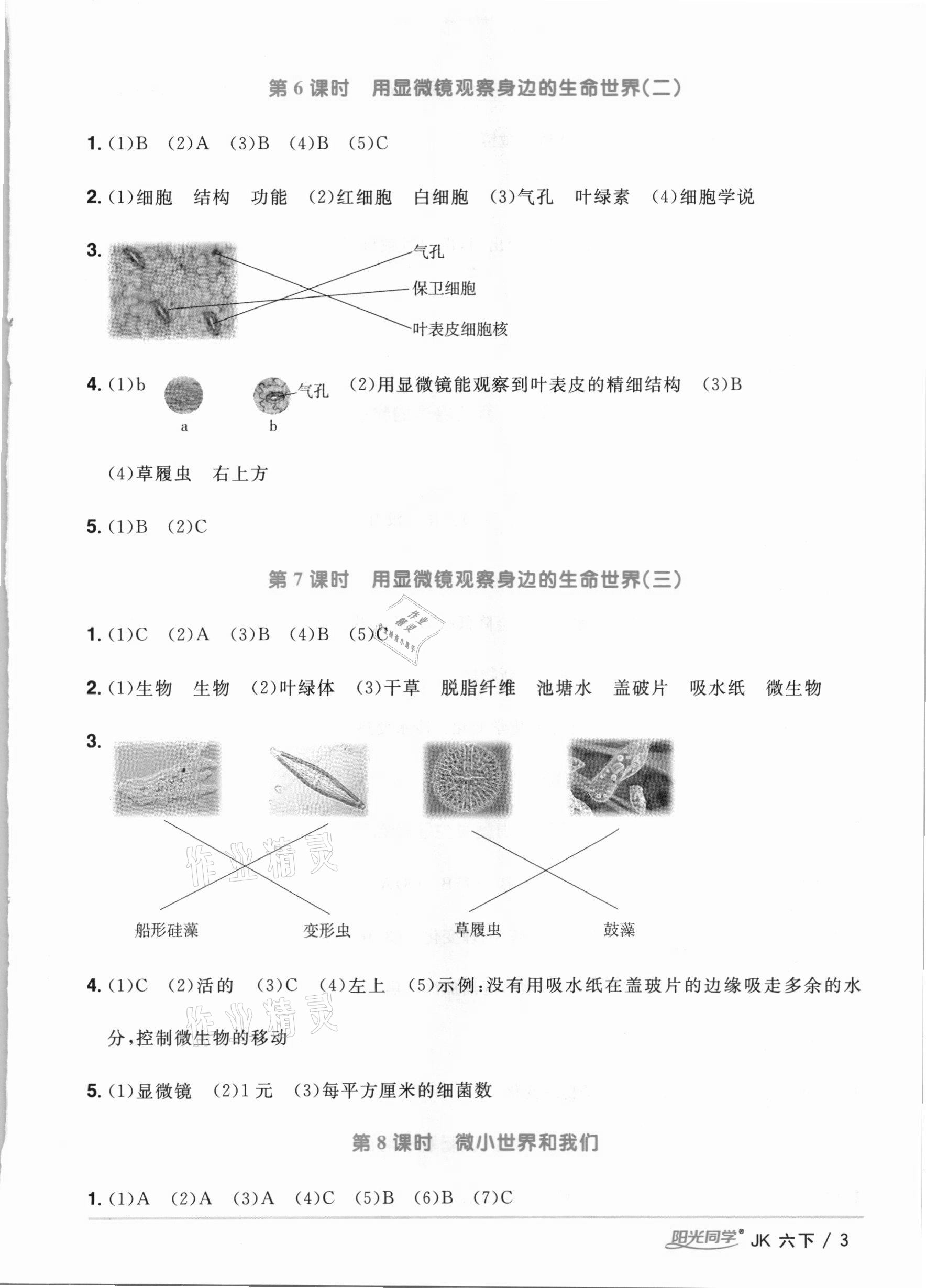 2021年陽光同學(xué)課時優(yōu)化作業(yè)六年級科學(xué)下冊教科版 參考答案第3頁