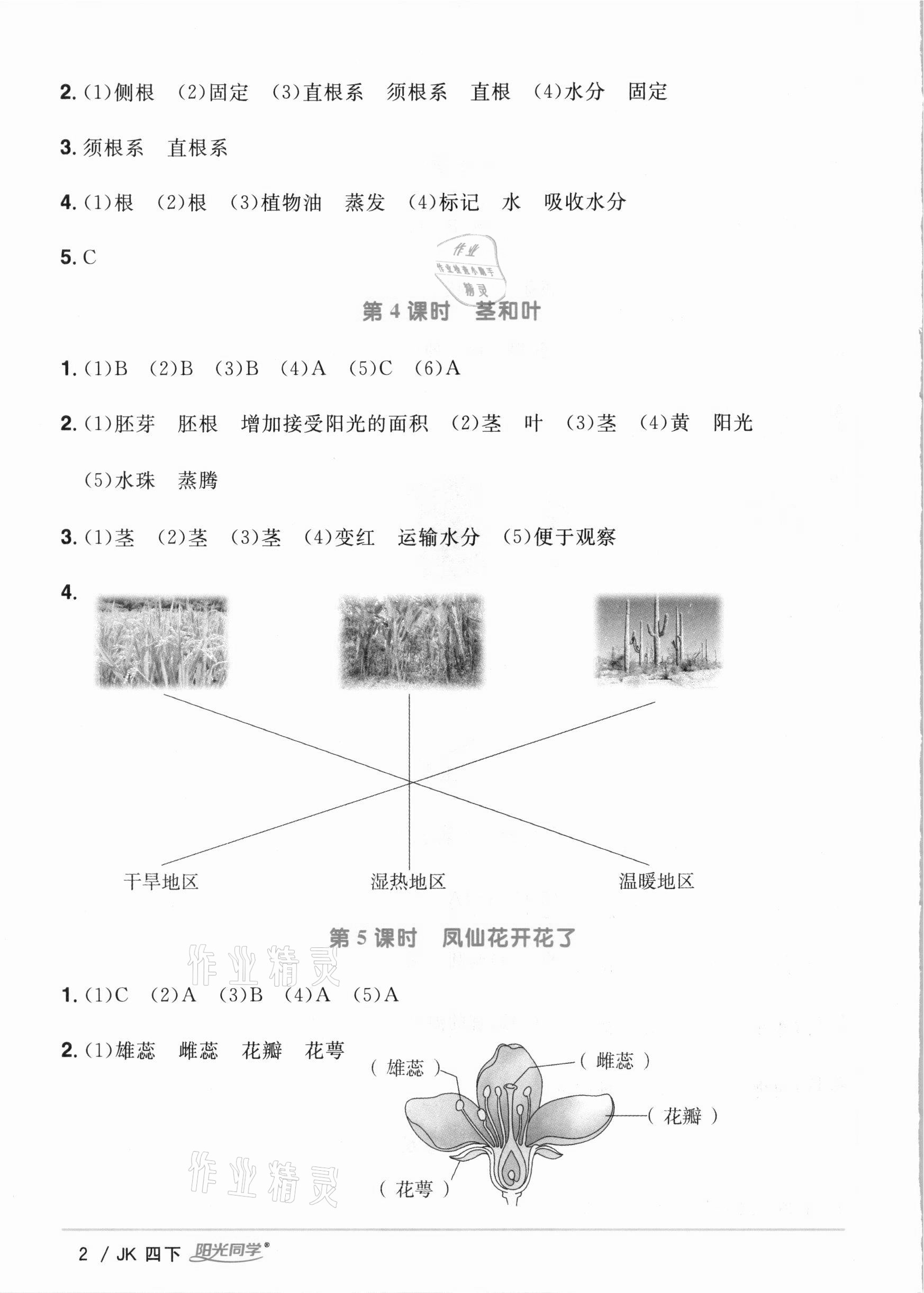 2021年阳光同学课时优化作业四年级科学下册教科版 参考答案第2页