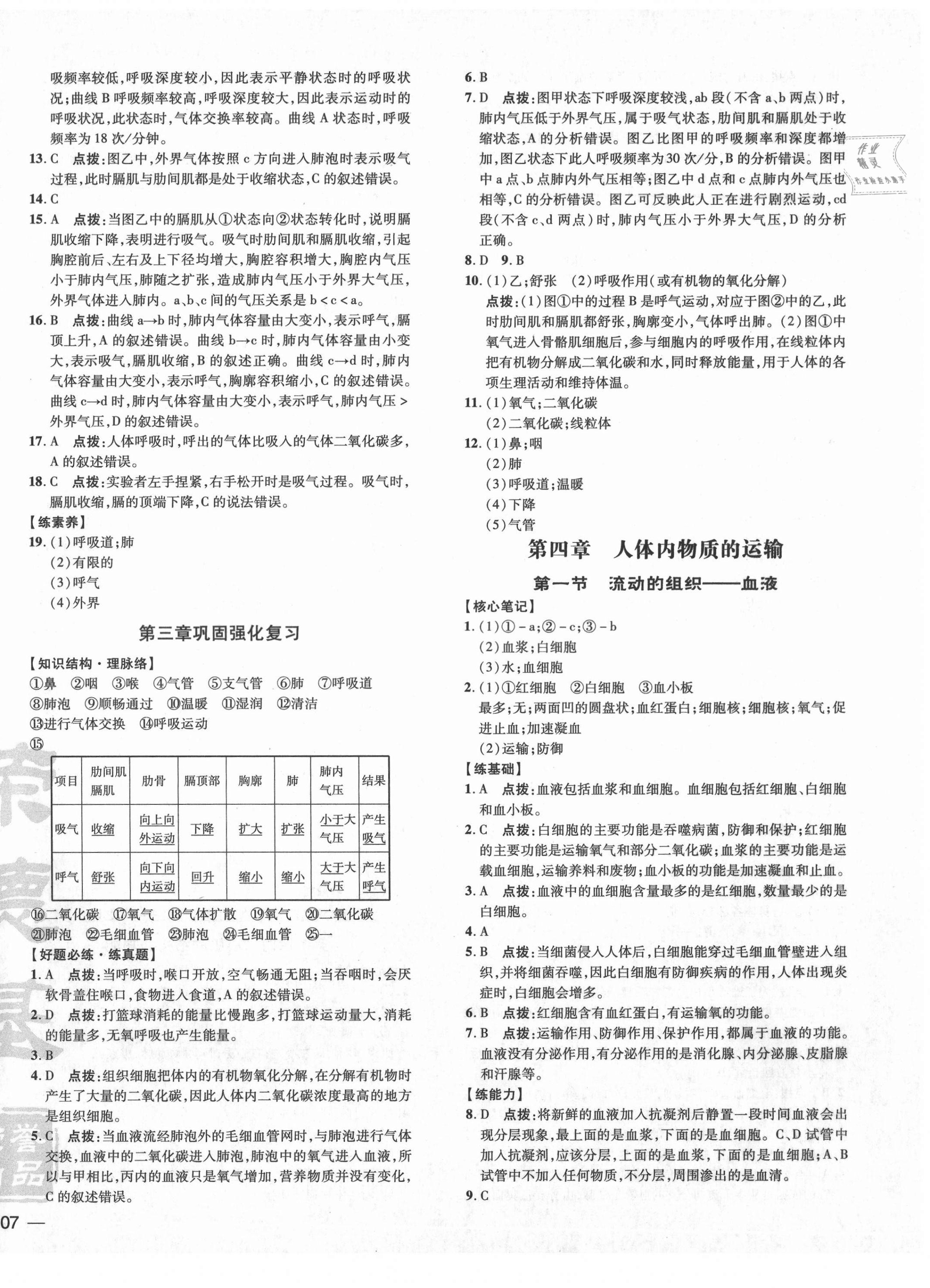 2021年點撥訓(xùn)練七年級生物下冊人教版 參考答案第6頁