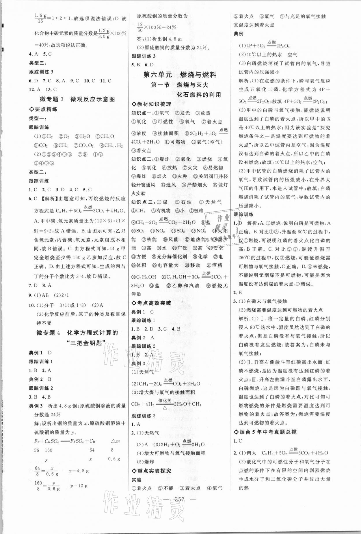 2021年初中总复习全程导航化学烟台专版 参考答案第8页