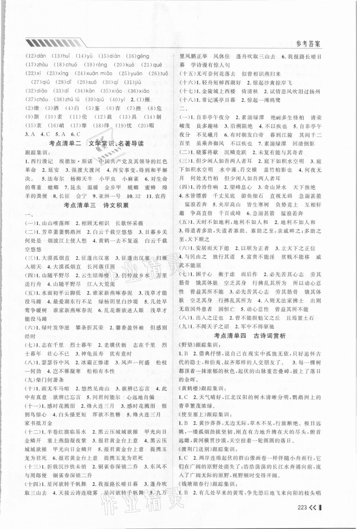 2021年初中總復(fù)習(xí)手冊語文山東人民出版社 第5頁