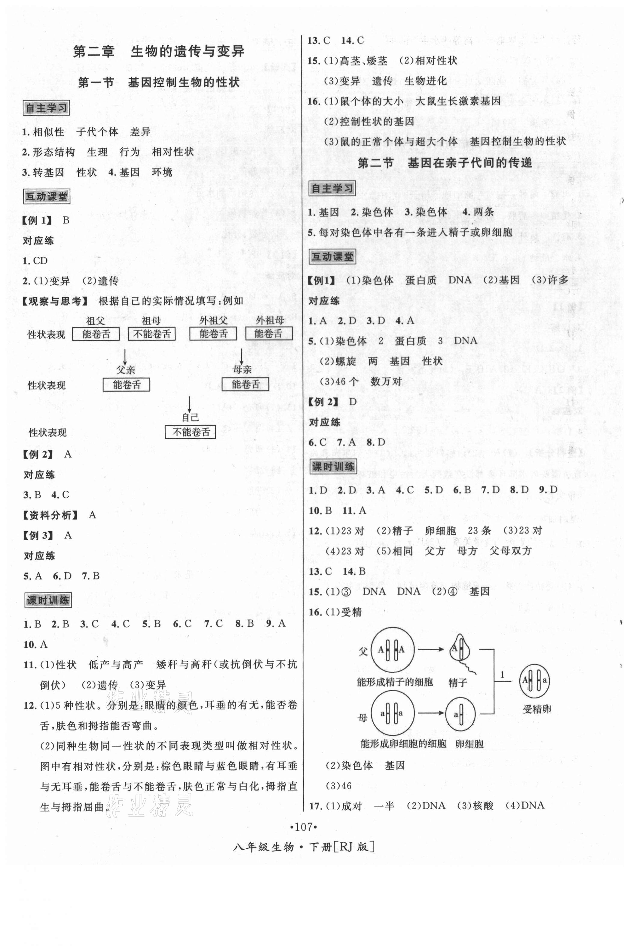 2021年優(yōu)學(xué)名師名題八年級(jí)生物下冊(cè)人教版 第3頁