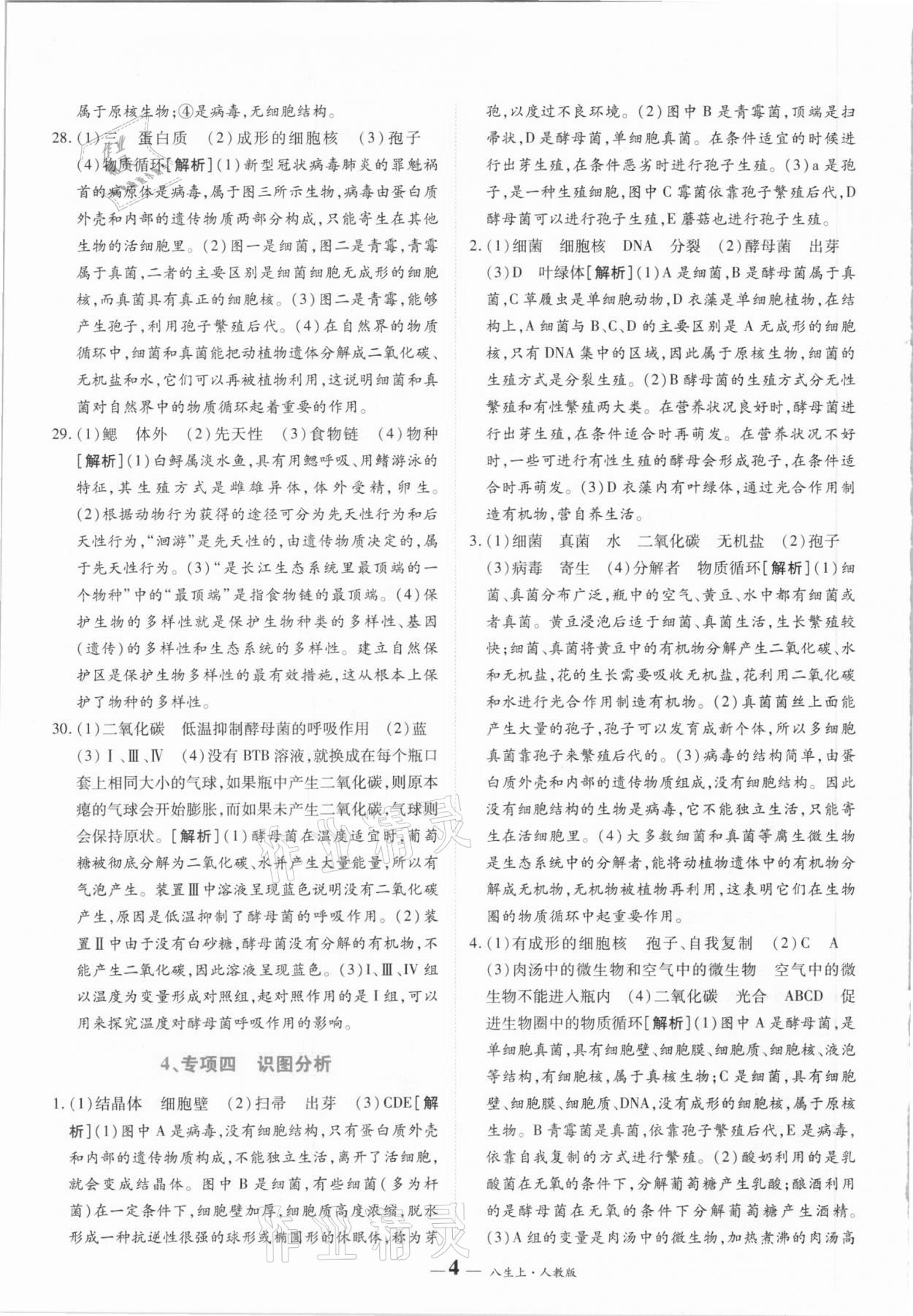 2020年核心期末八年級(jí)生物上冊(cè)人教版 第4頁