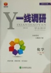 2021年一线调研学业测评九年级化学下册粤科版