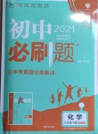 2021年初中必刷題九年級化學下冊科粵版