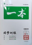 2021年一本同步訓(xùn)練初中語(yǔ)文九年級(jí)下冊(cè)人教版安徽專(zhuān)用