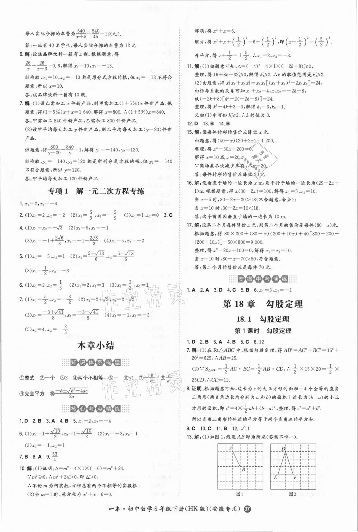 2021年一本同步訓(xùn)練初中數(shù)學(xué)八年級下冊滬科版安徽專用 第5頁