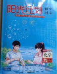 2021年陽光計劃初中同步九年級化學下冊魯教版