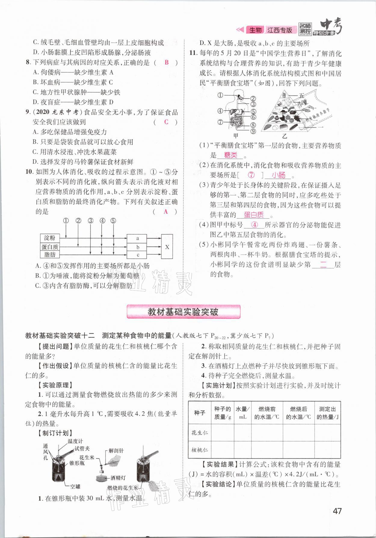2021年名師測控中考特訓方案生物江西專版 參考答案第47頁