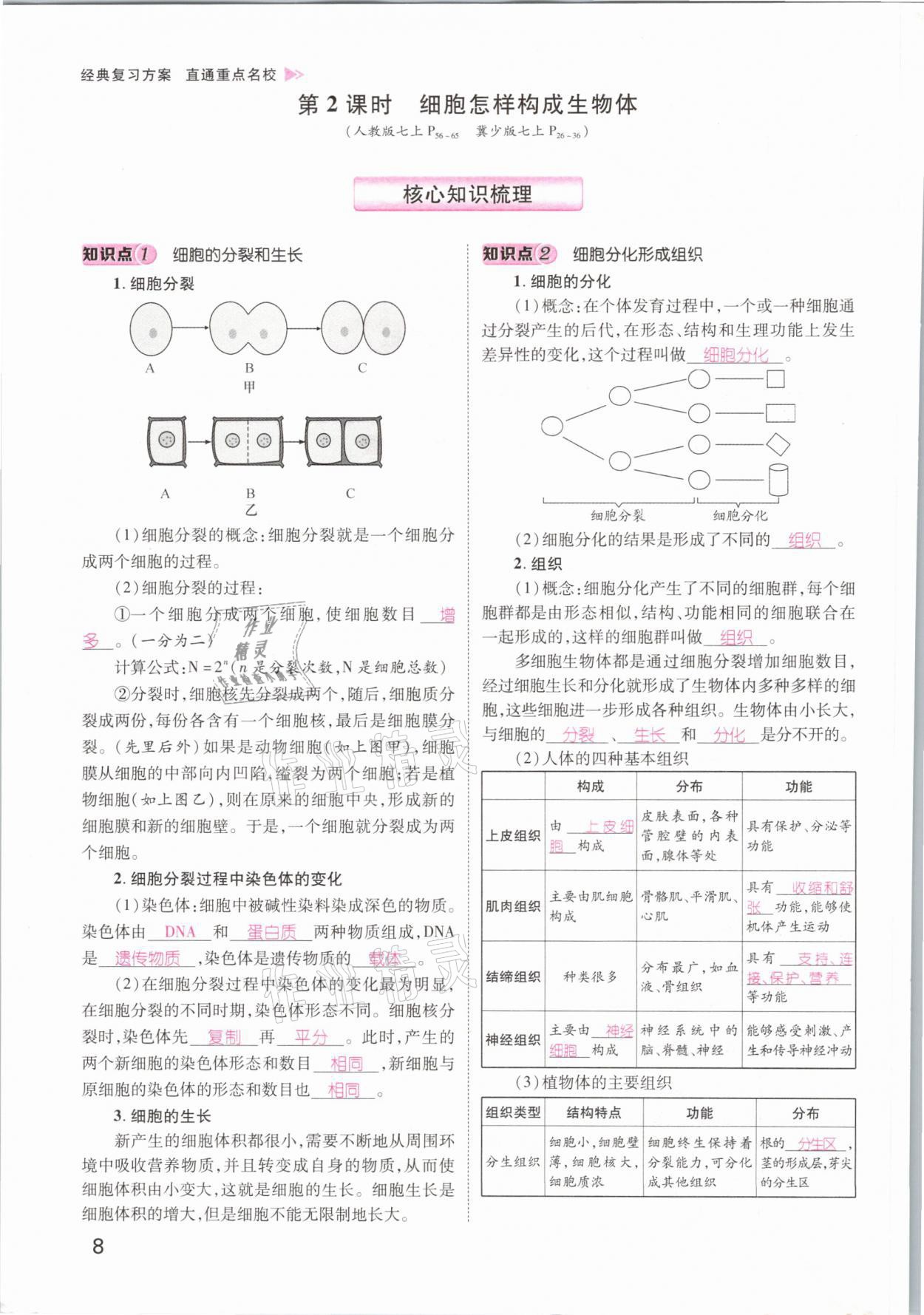 2021年名師測控中考特訓方案生物江西專版 參考答案第8頁
