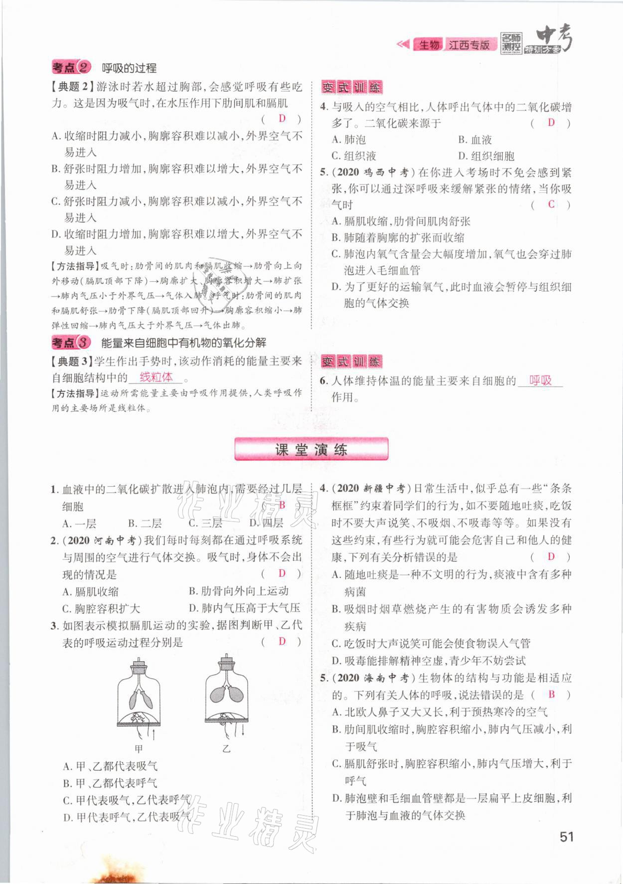 2021年名師測控中考特訓方案生物江西專版 參考答案第51頁