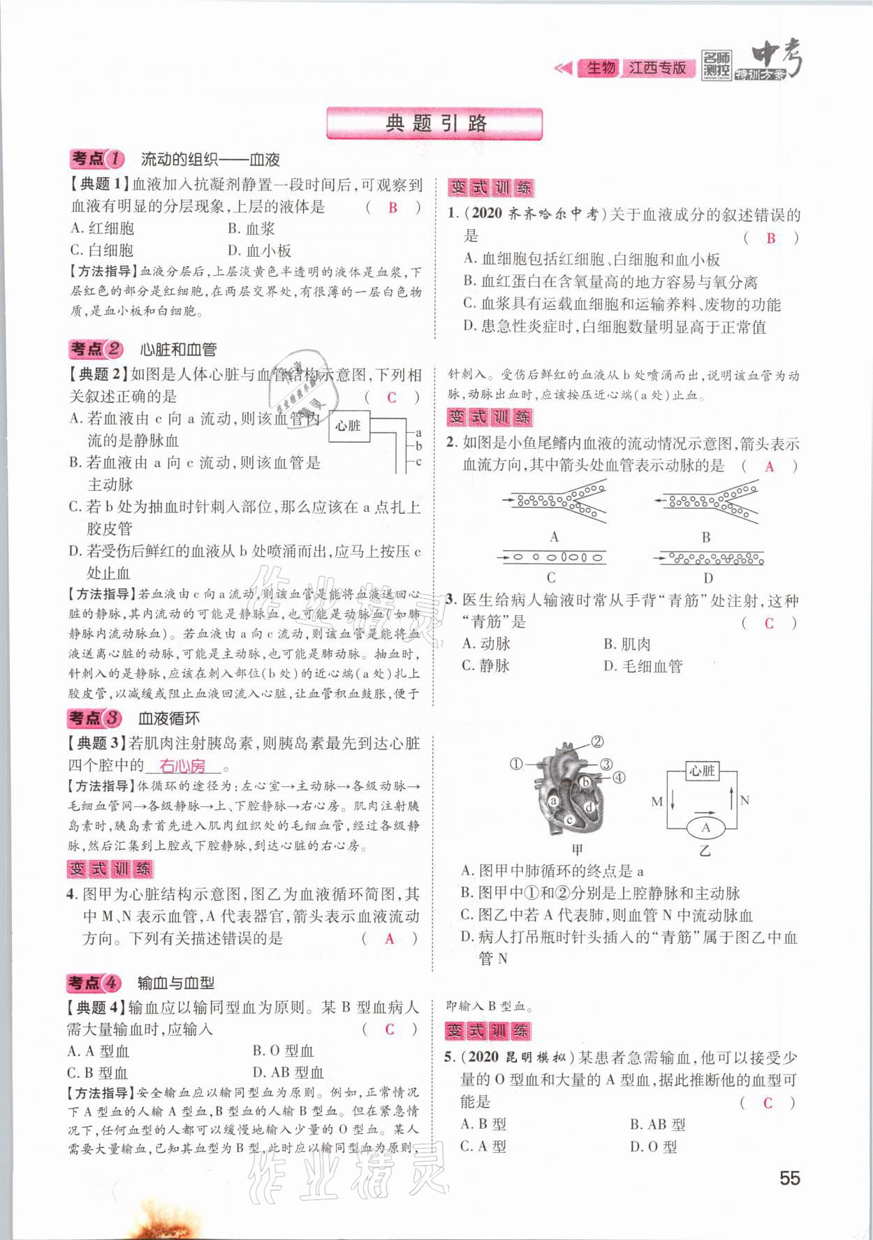 2021年名師測控中考特訓方案生物江西專版 參考答案第55頁