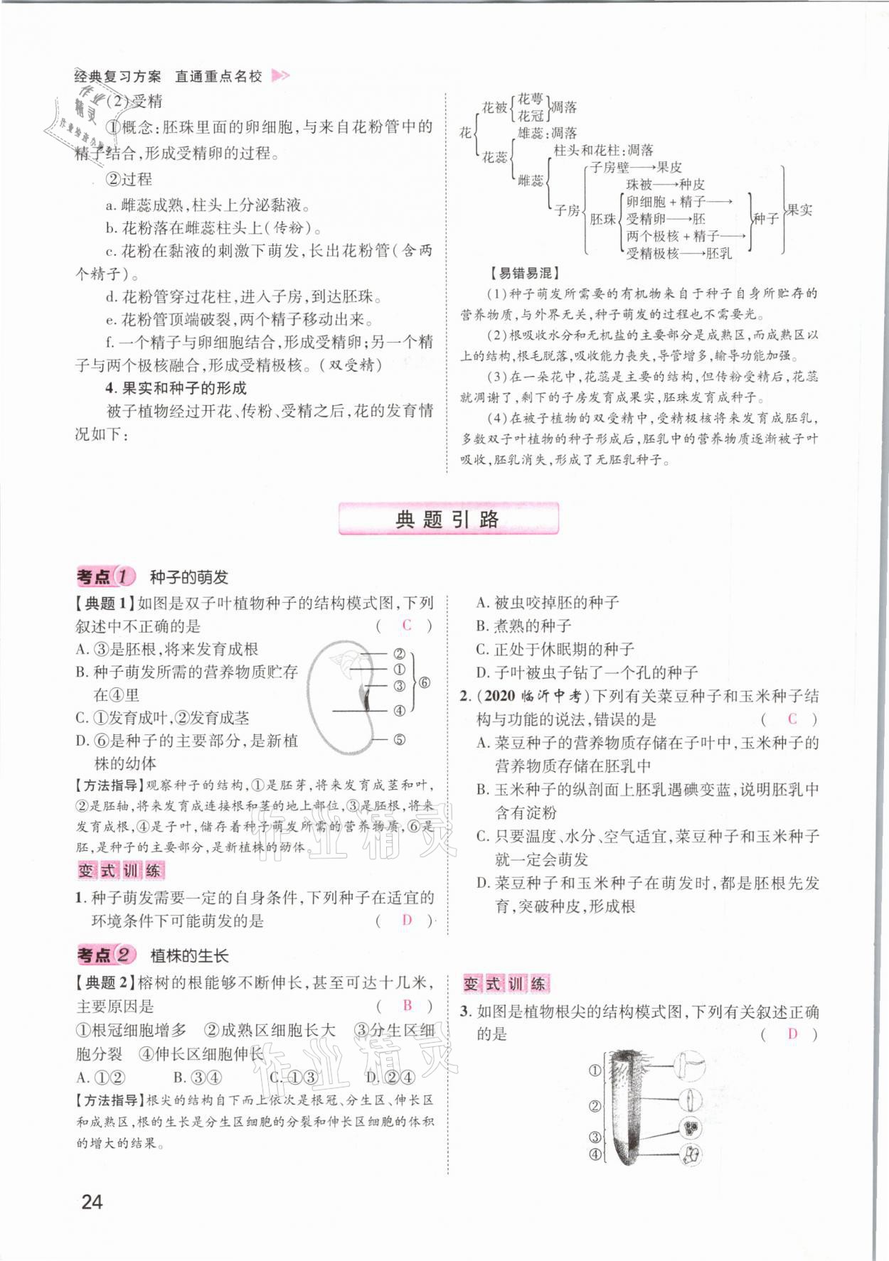 2021年名師測控中考特訓方案生物江西專版 參考答案第24頁