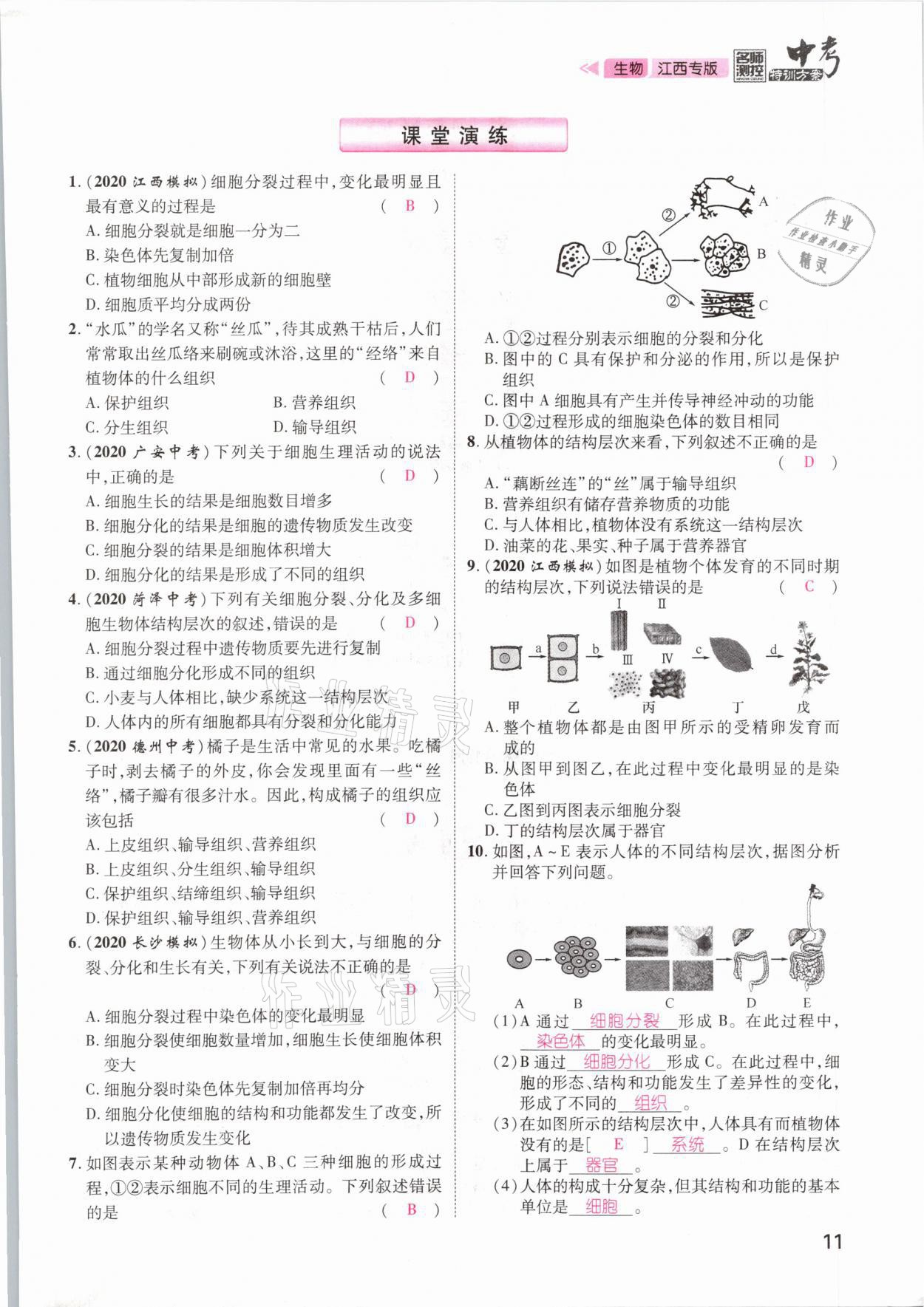 2021年名師測控中考特訓方案生物江西專版 參考答案第11頁