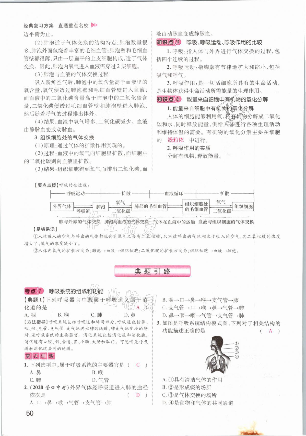 2021年名師測控中考特訓方案生物江西專版 參考答案第50頁
