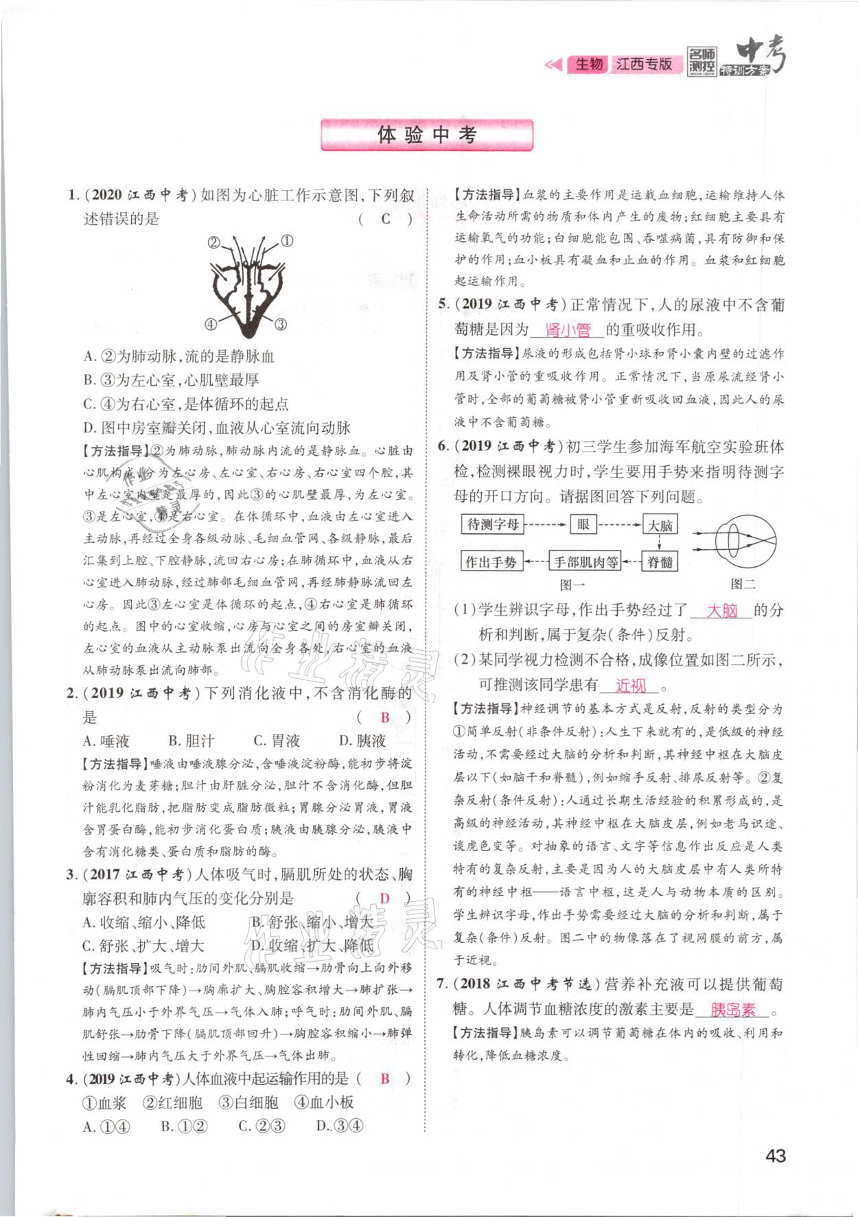 2021年名師測控中考特訓方案生物江西專版 參考答案第43頁